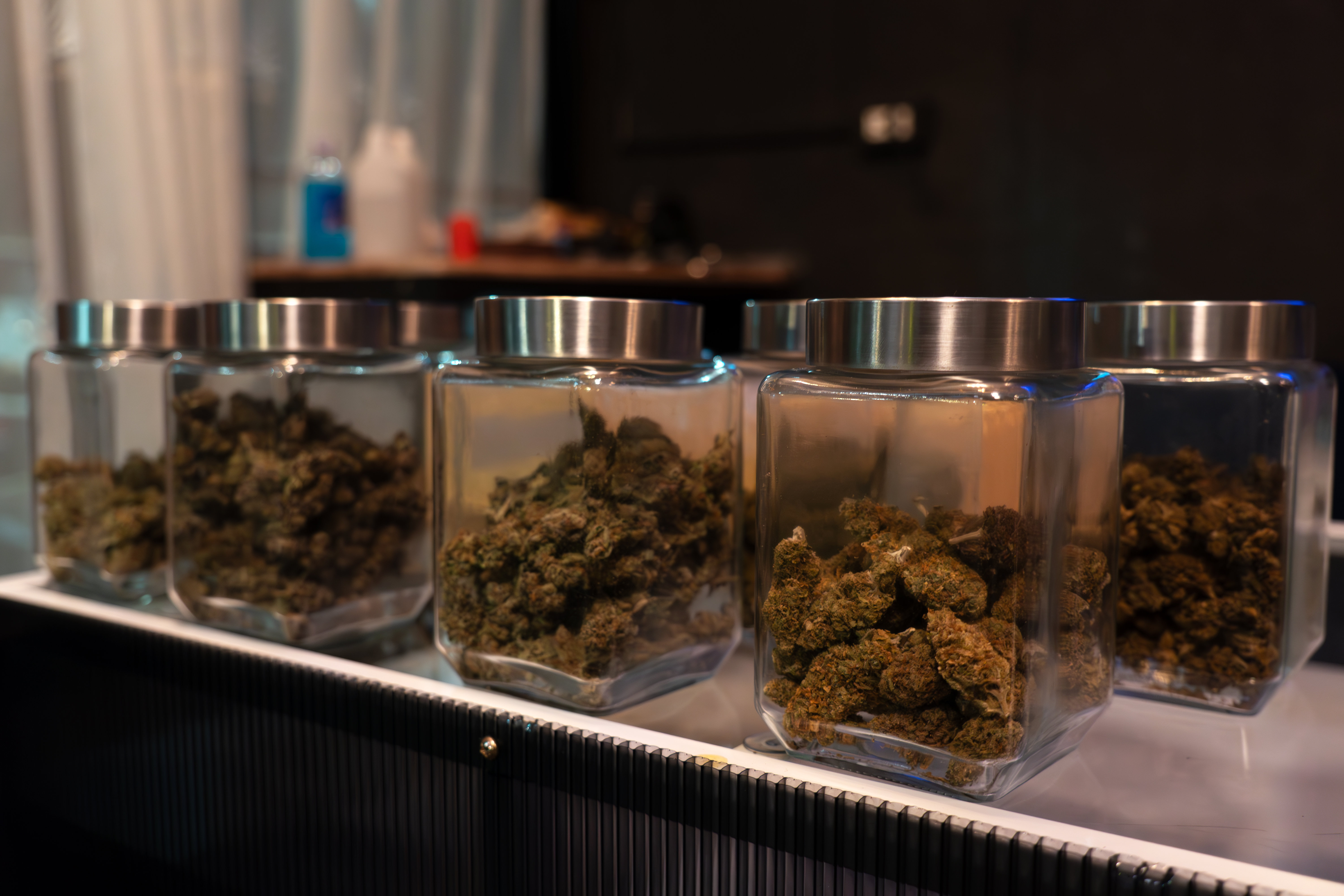 Meet Our Experts: Personalized Cannabis Recommendations