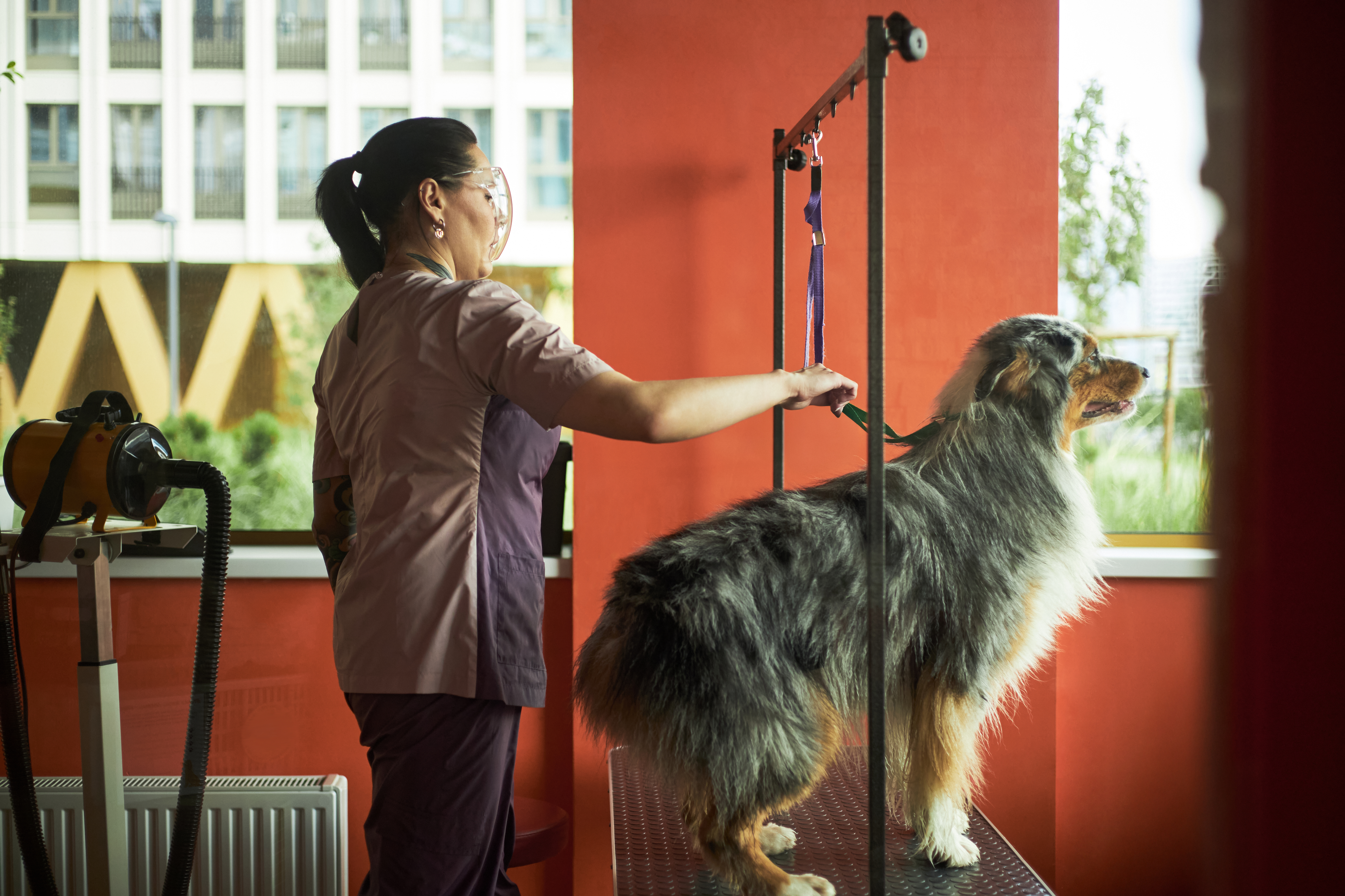 Affordable Pet Sitting Tallahassee