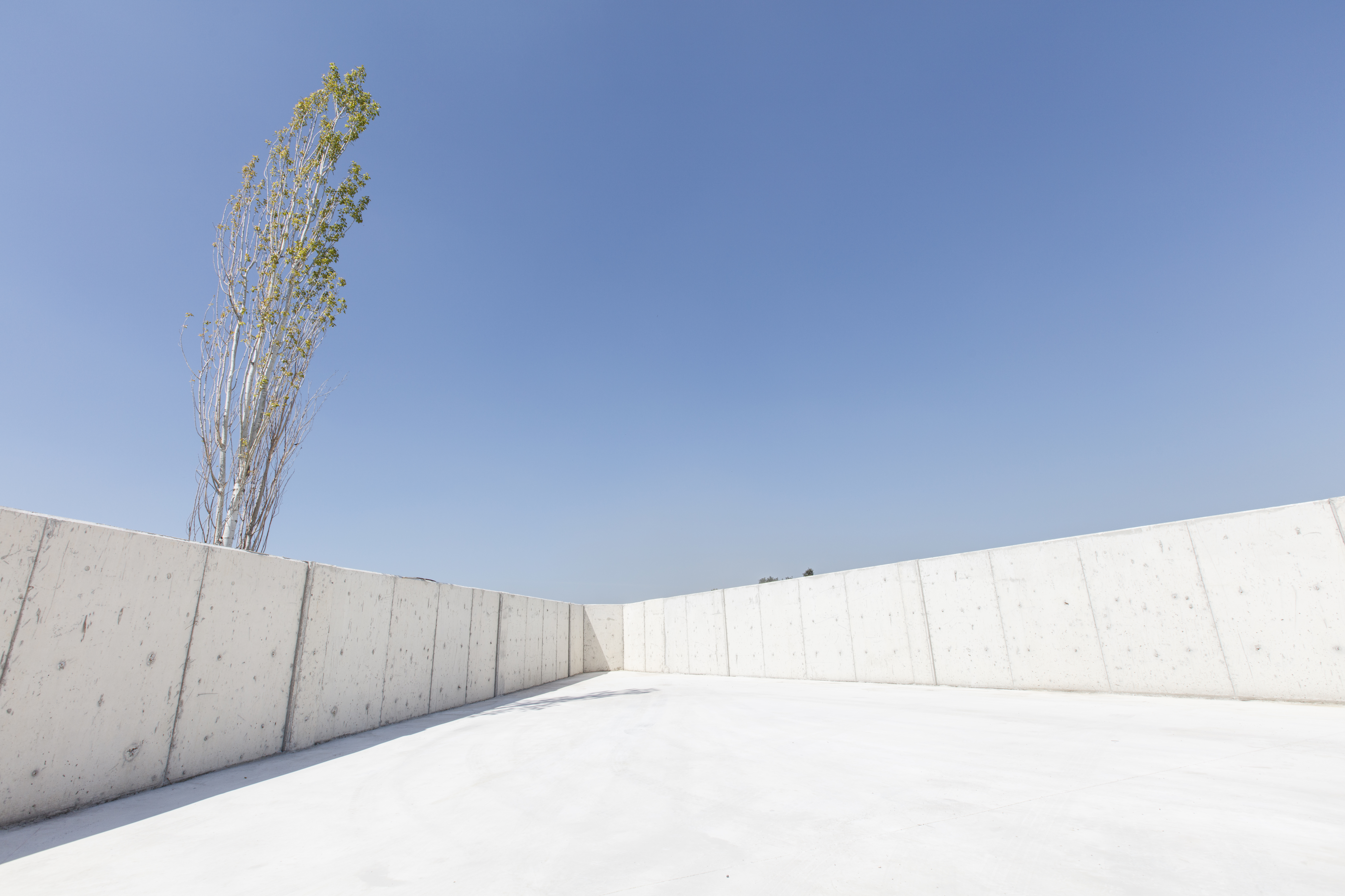 alt="Calcleanseal Concrete solutions services"