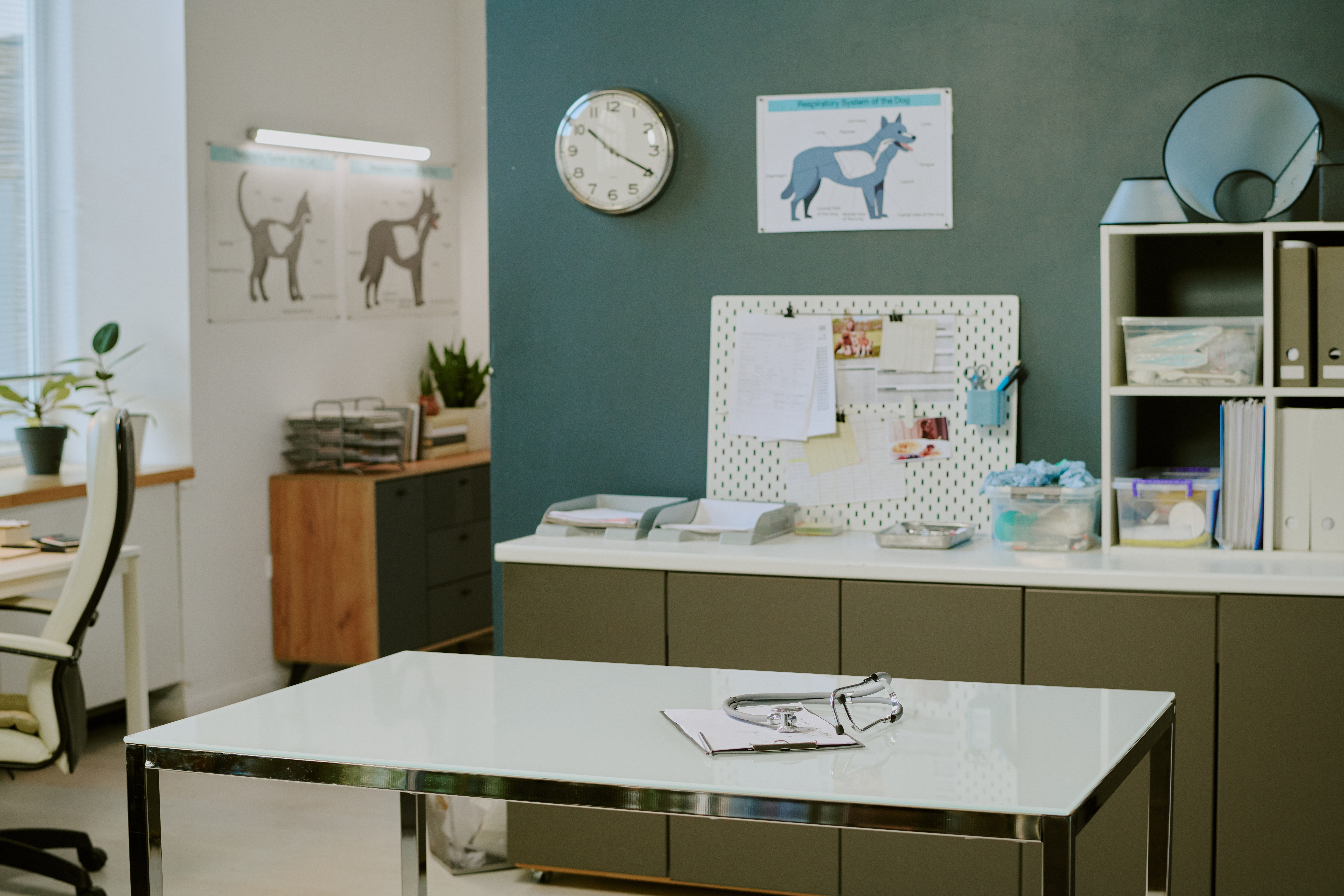 modern veterinary office desk surrounding with sup b060106f111b0f4431f0