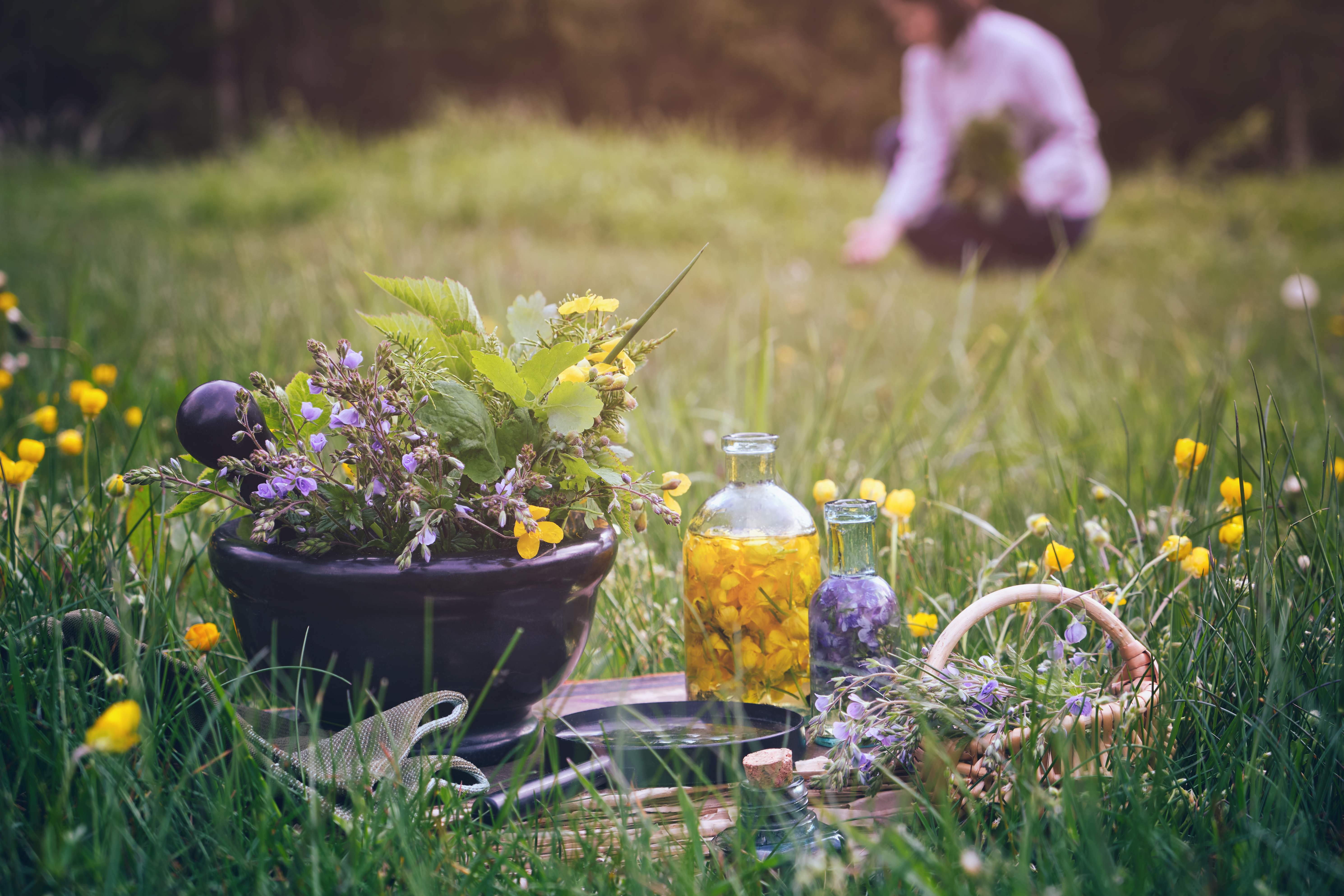 Root to Rise: Ancient Herbal Remedies for Grounding in Modern Life