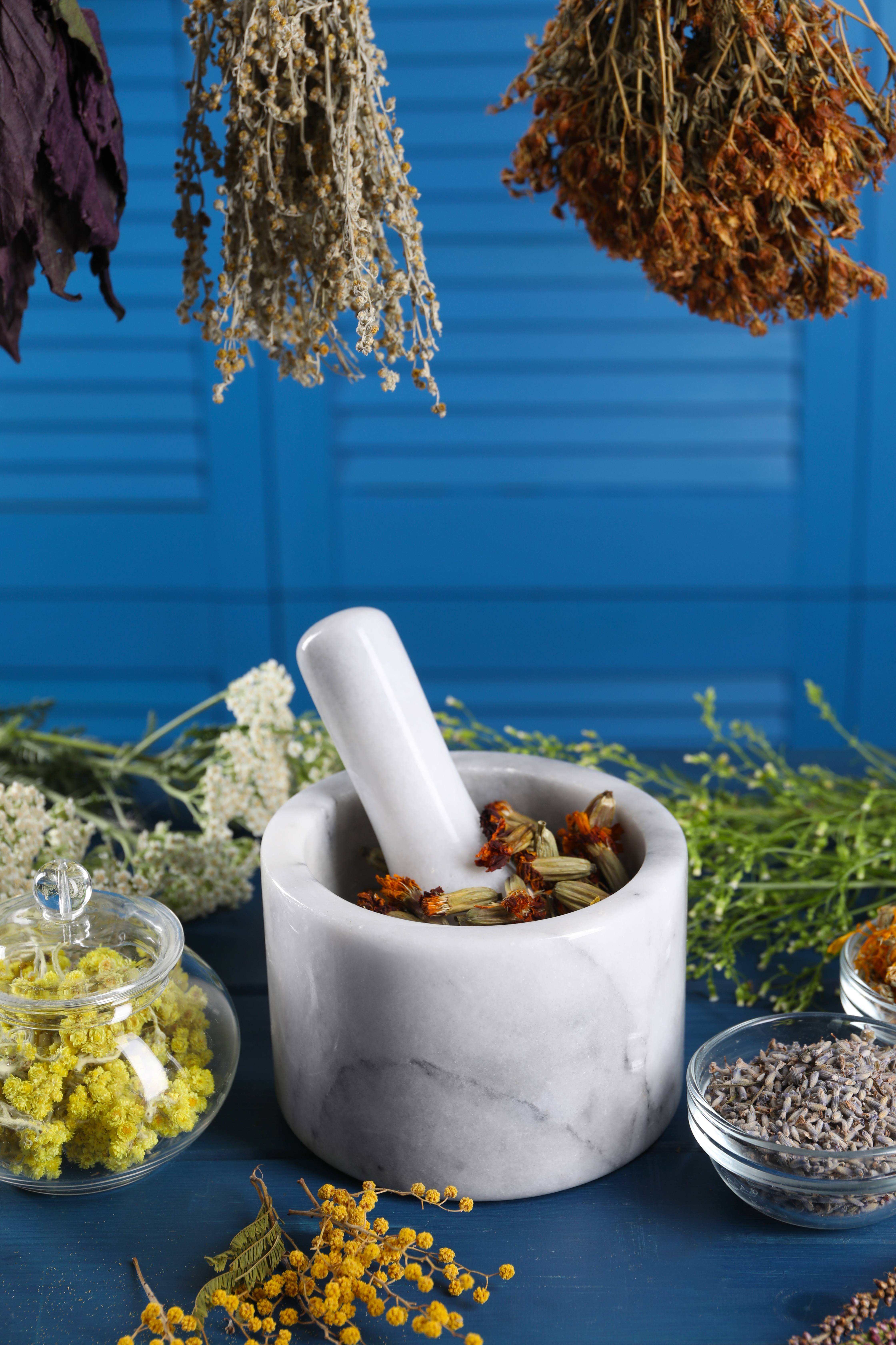 Rooted in Light: Herbal Remedies and Their Ancestral Roots for Modern Wellness in Yosemite