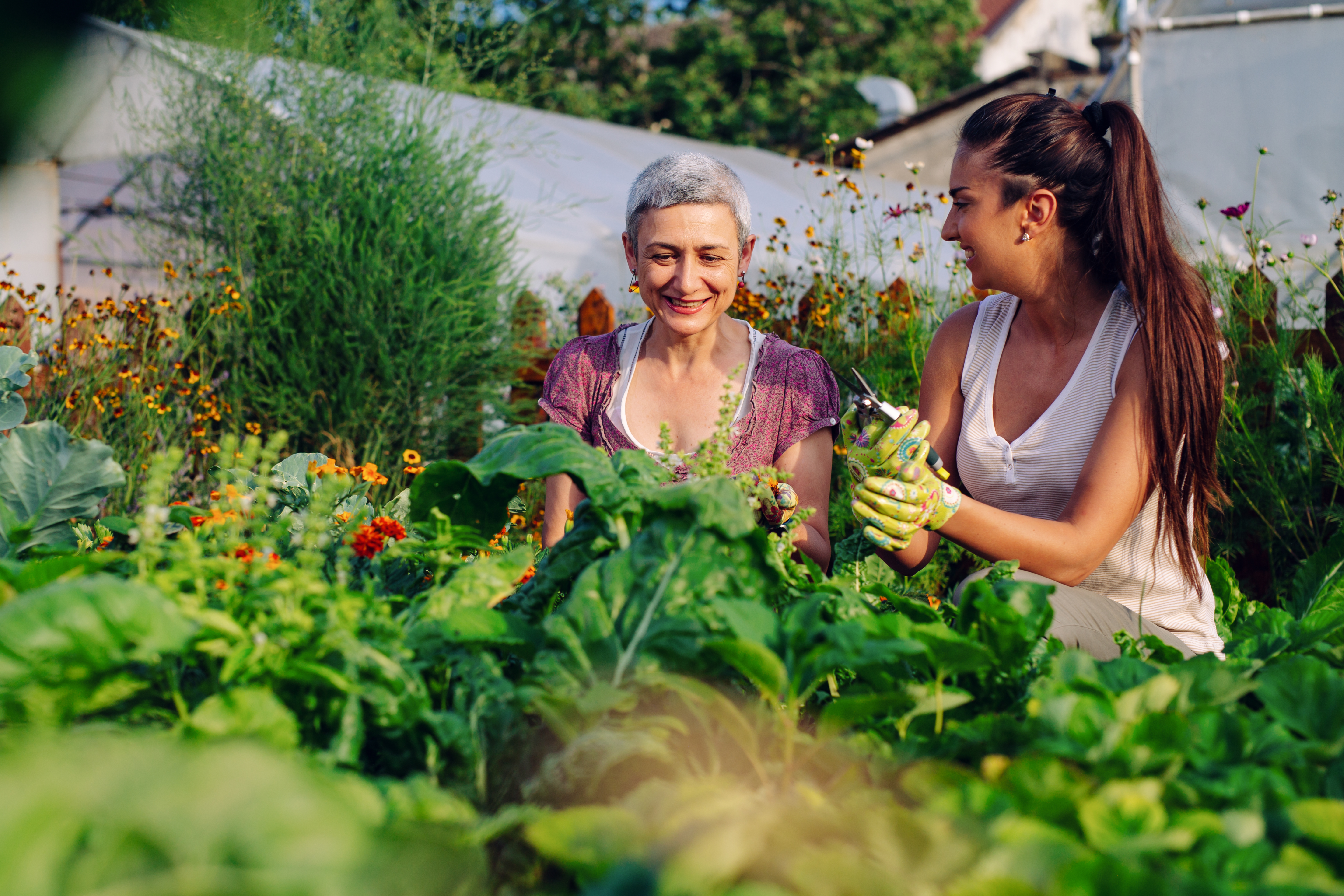 Harnessing Gardening Challenges: Transforming Obstacles into Opportunities Mother And Daughter Gardening Together Gardening 53fb5cb15ae421d440ac