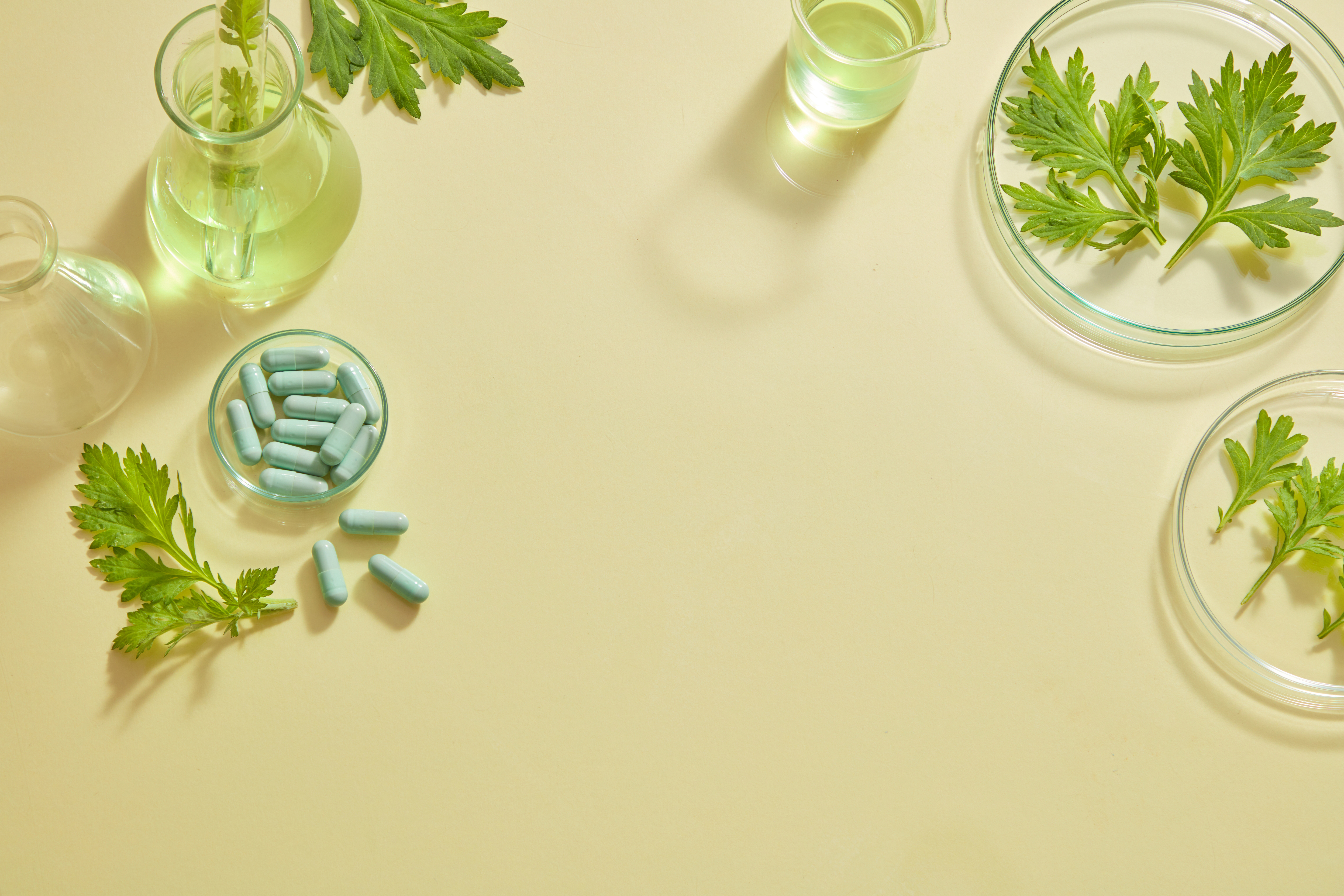 Mugwort Research For Cosmetic Using In Color Backg 6Ee1Db0A42Fff090B42A