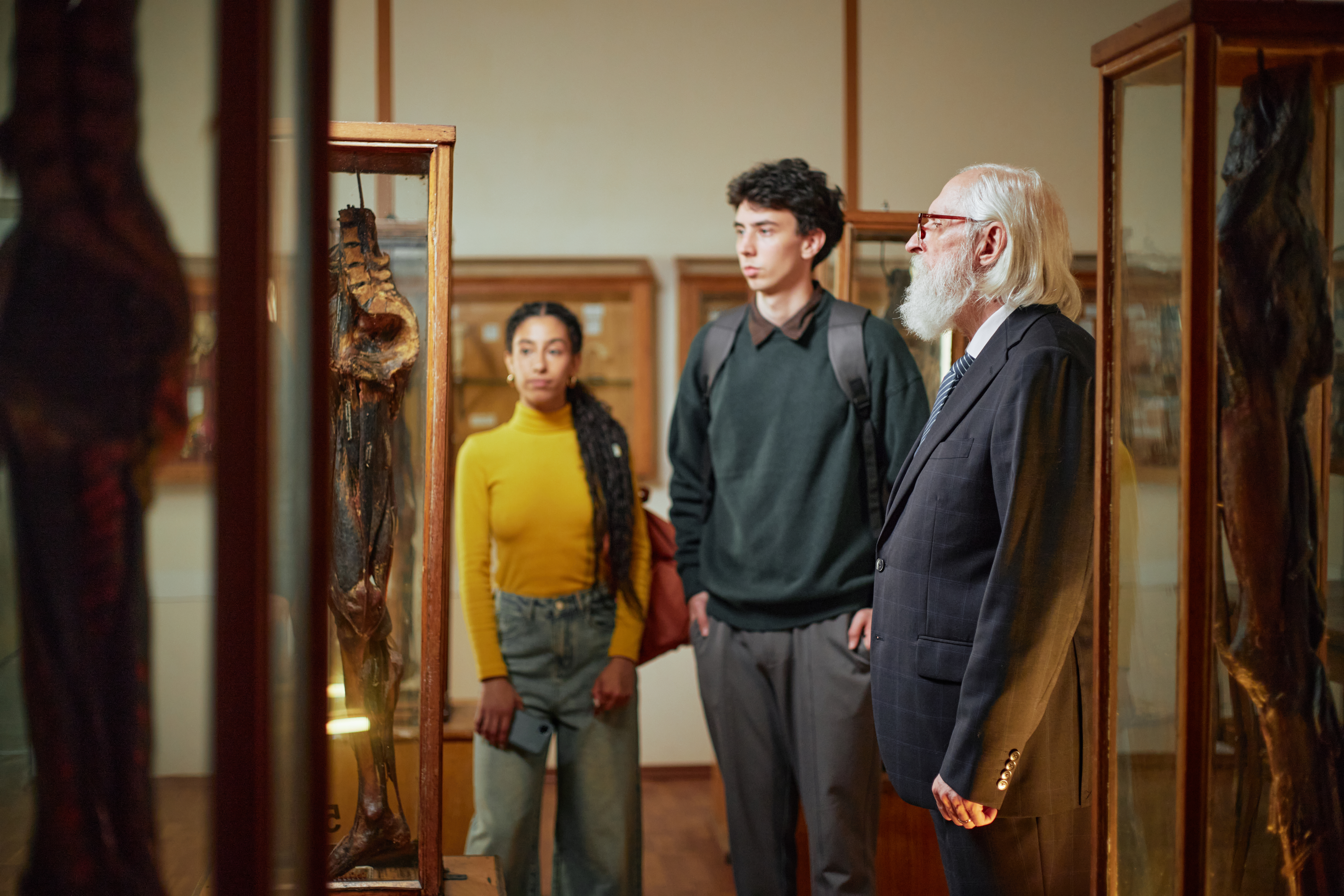 The Rise of Educational Cannabis Experiences: How Museums Transform Understanding at Elevation 6420