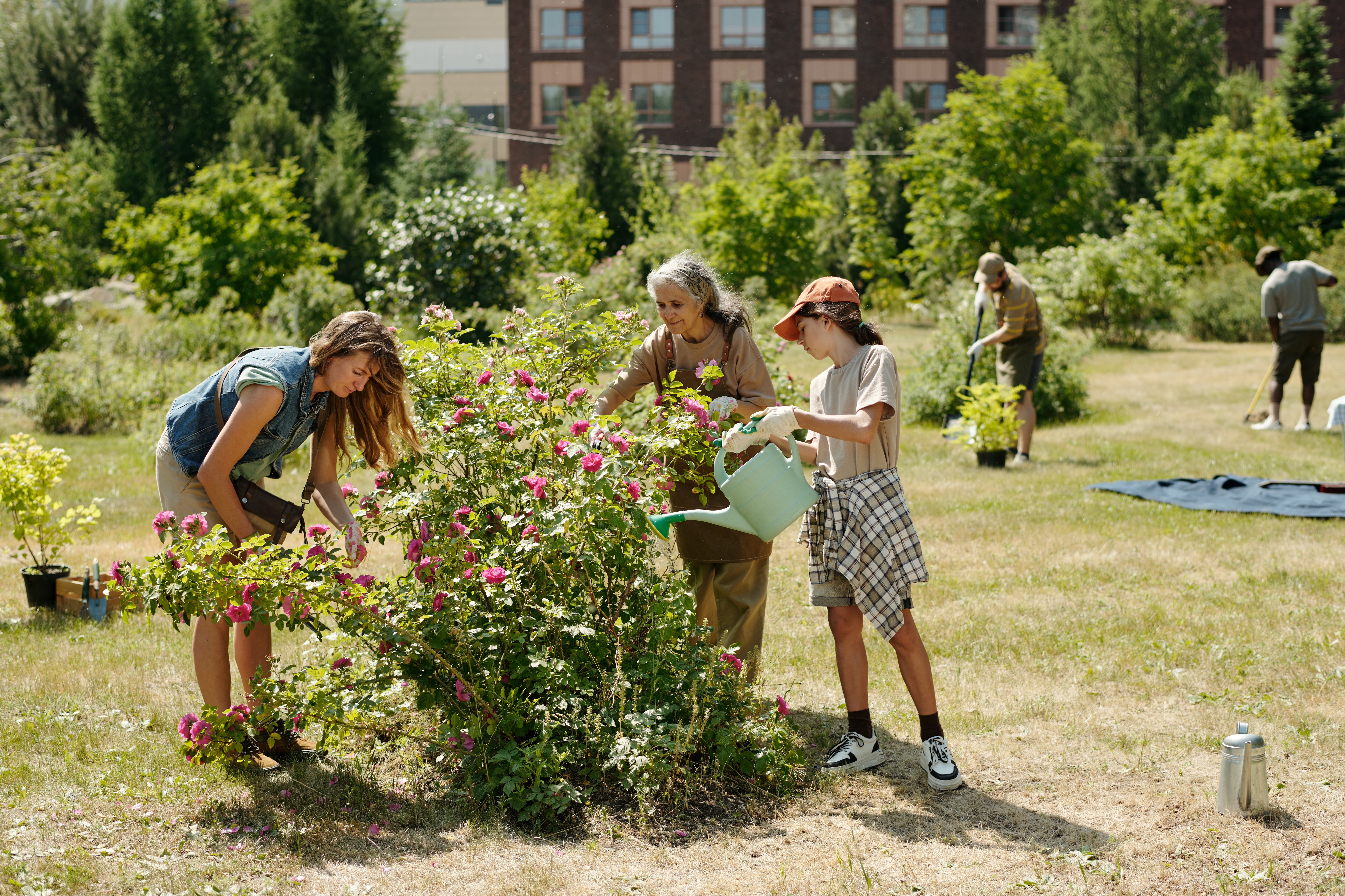 Cultivating Green Spaces: Your Guide to Urban Sustainable Gardening Multiethnic Group Of Teenagers And Senior Woman Ga Ba8a7624423eb07418dc