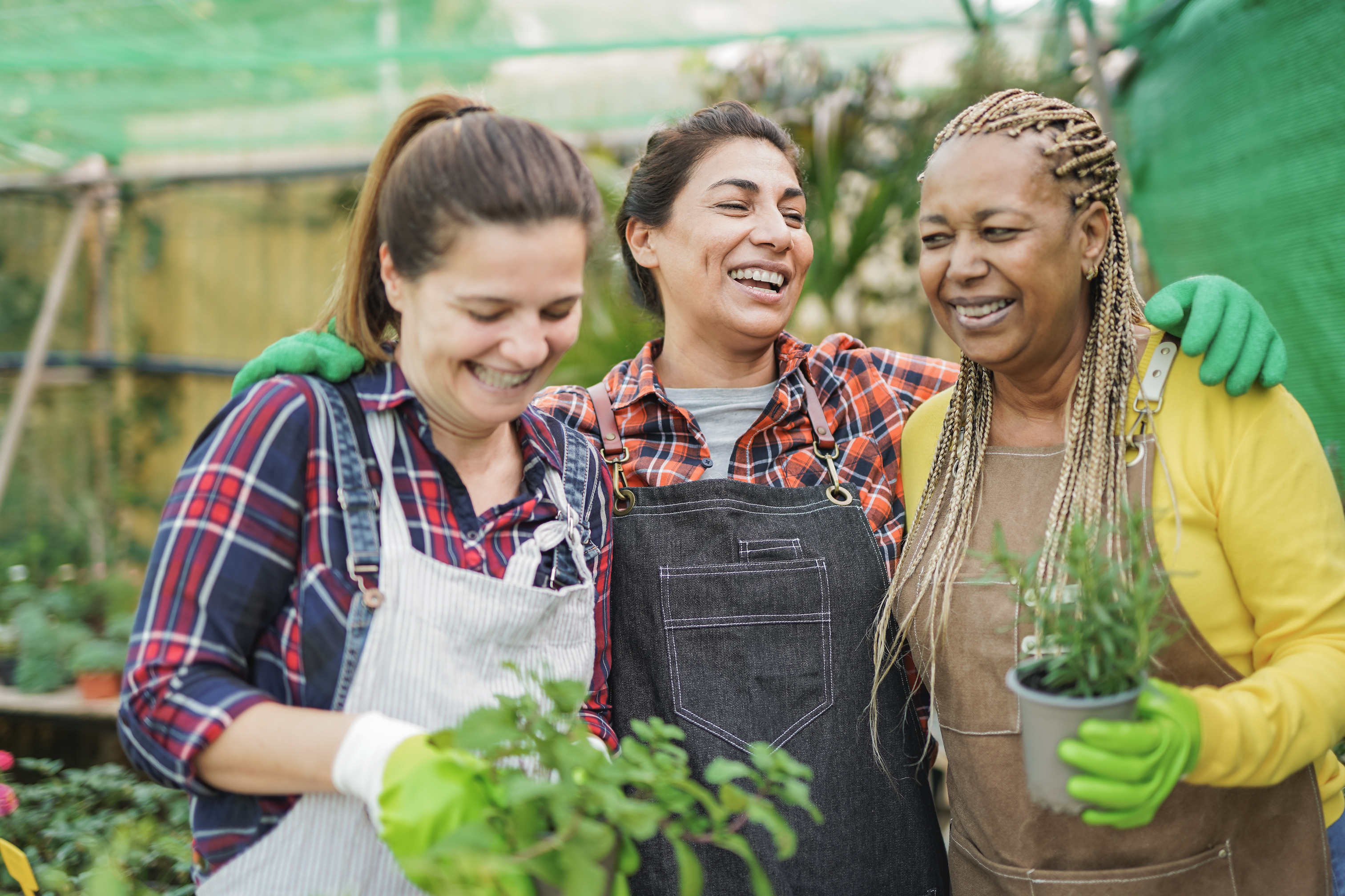 Ancestral Herbal Allies: A Modern Guide to Spiritual Wellness with the Yosemite Goddess Festival