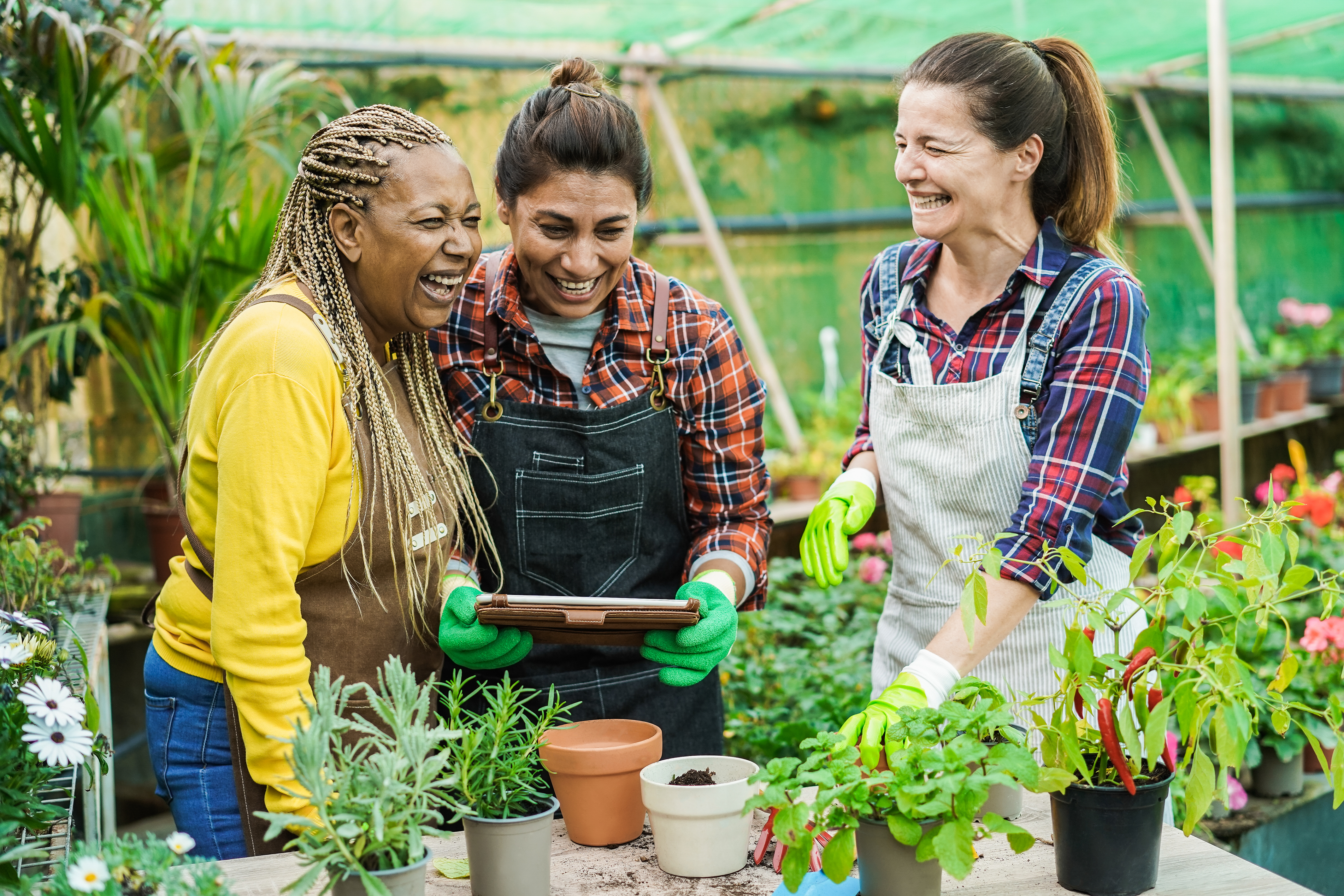 Growing Together: How Hands-On Gardening Workshops Cultivate Skills and Friendships Multiracial Senior Women Having Fun Working Inside E3a3352d56c0db729dea