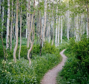 mystic wizards com image eb36d3db5552b771fd58