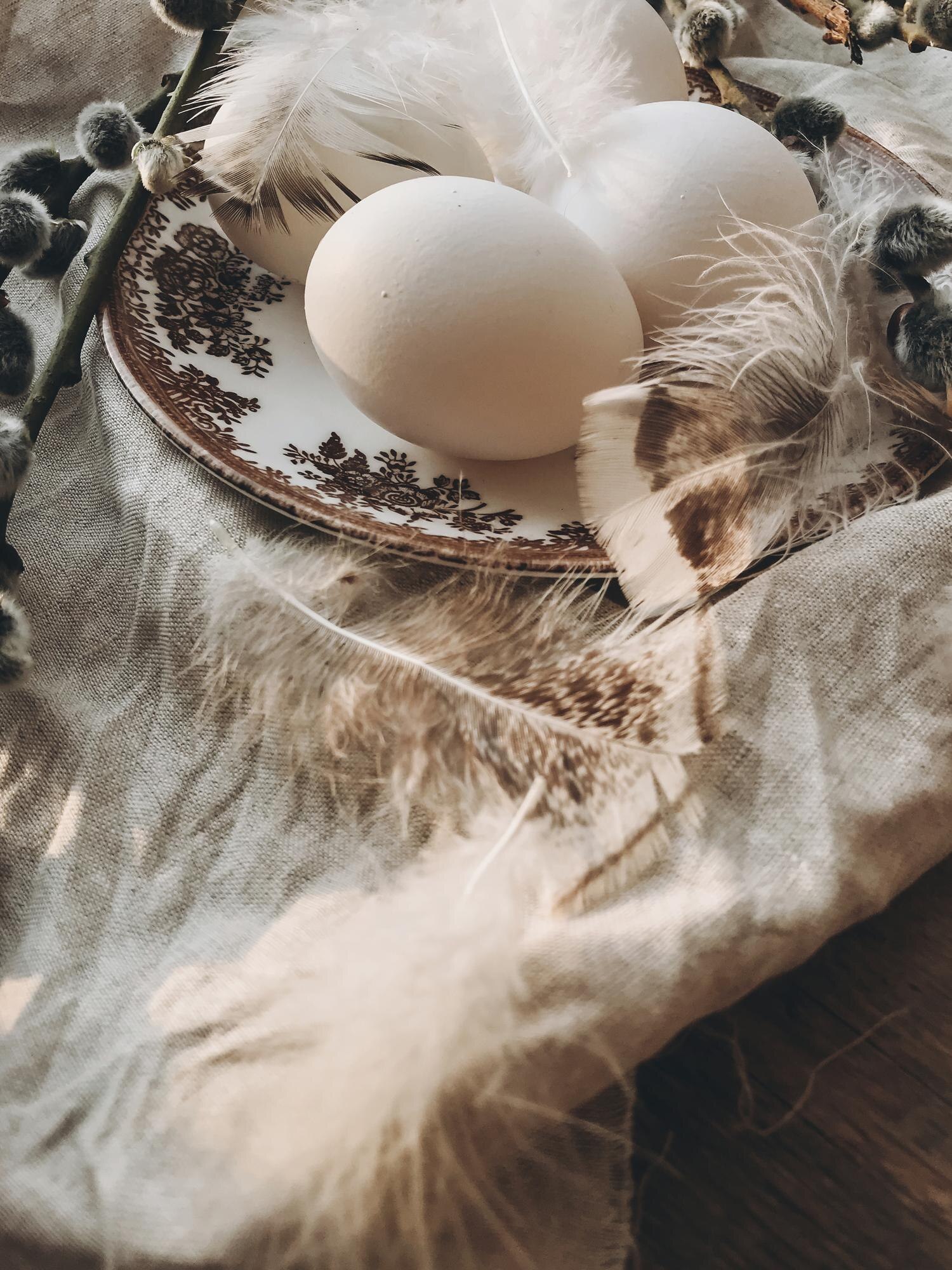 natural easter eggs vintage plate feathers pussy w 631719b0548cd59bbe10