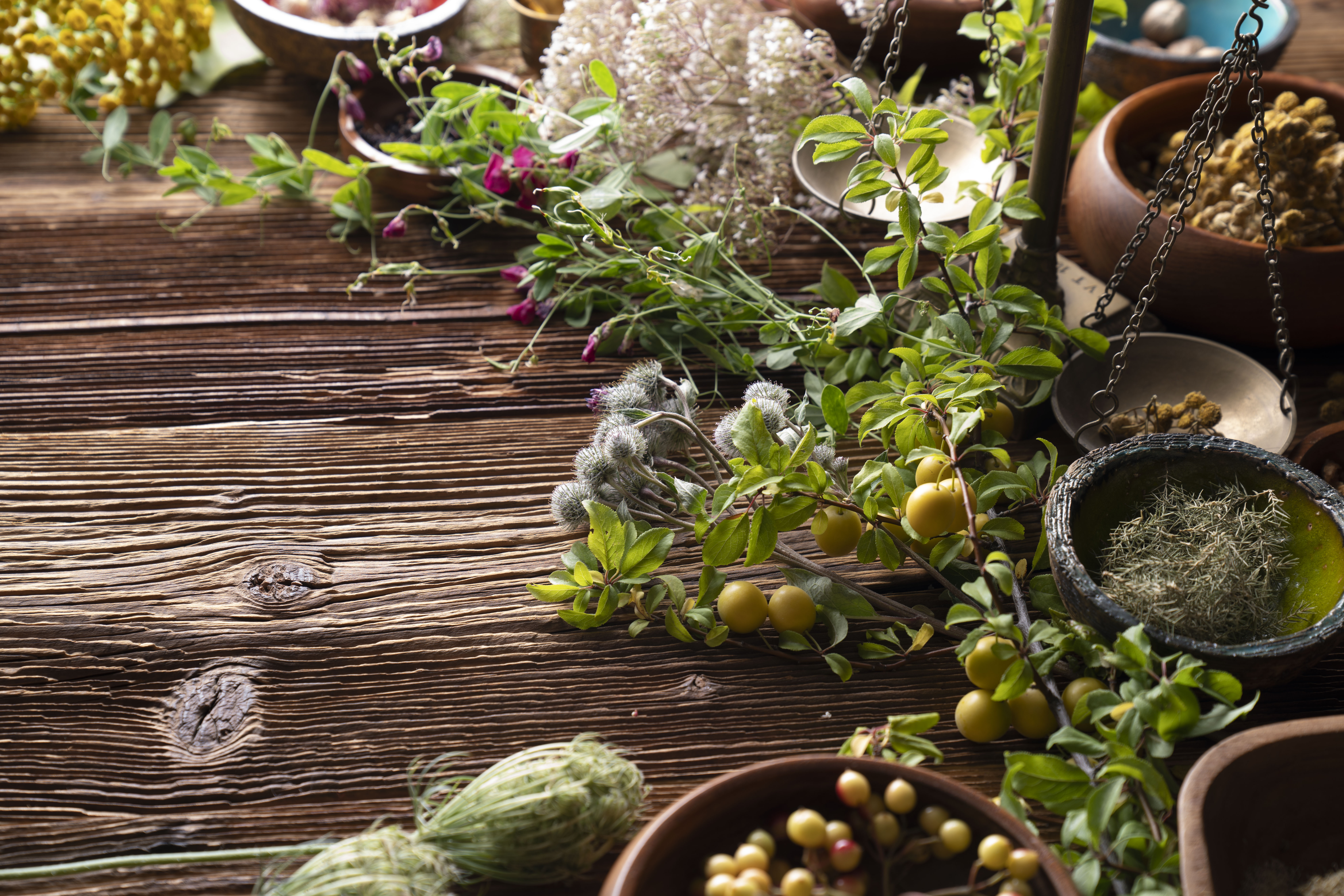 Natural Medicine Background 0612Be1Baf5D968Fa9Fa
