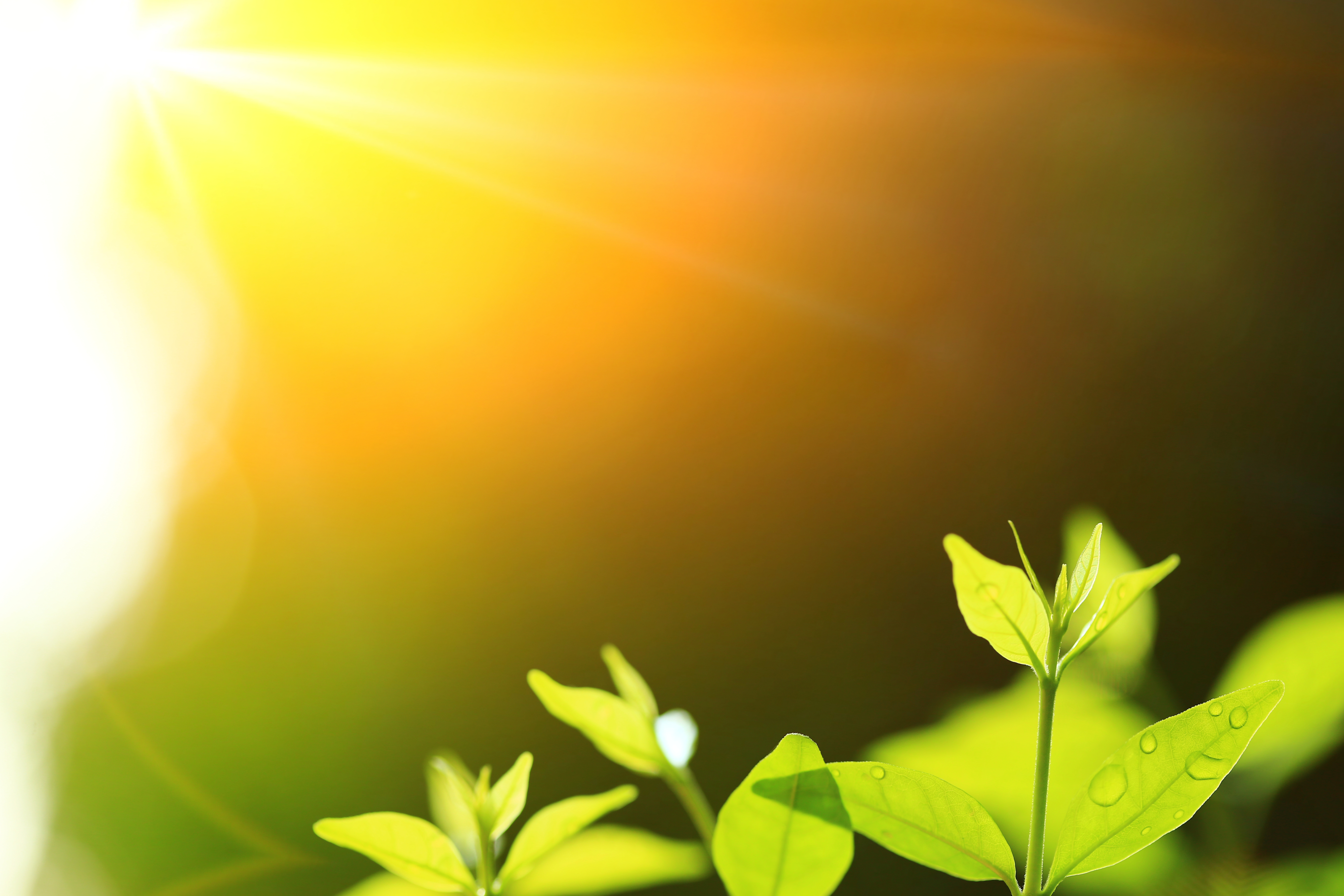 Embracing the Seasons: How Seasonal Cycles Foster Personal Growth at Yosemite Goddess Festival