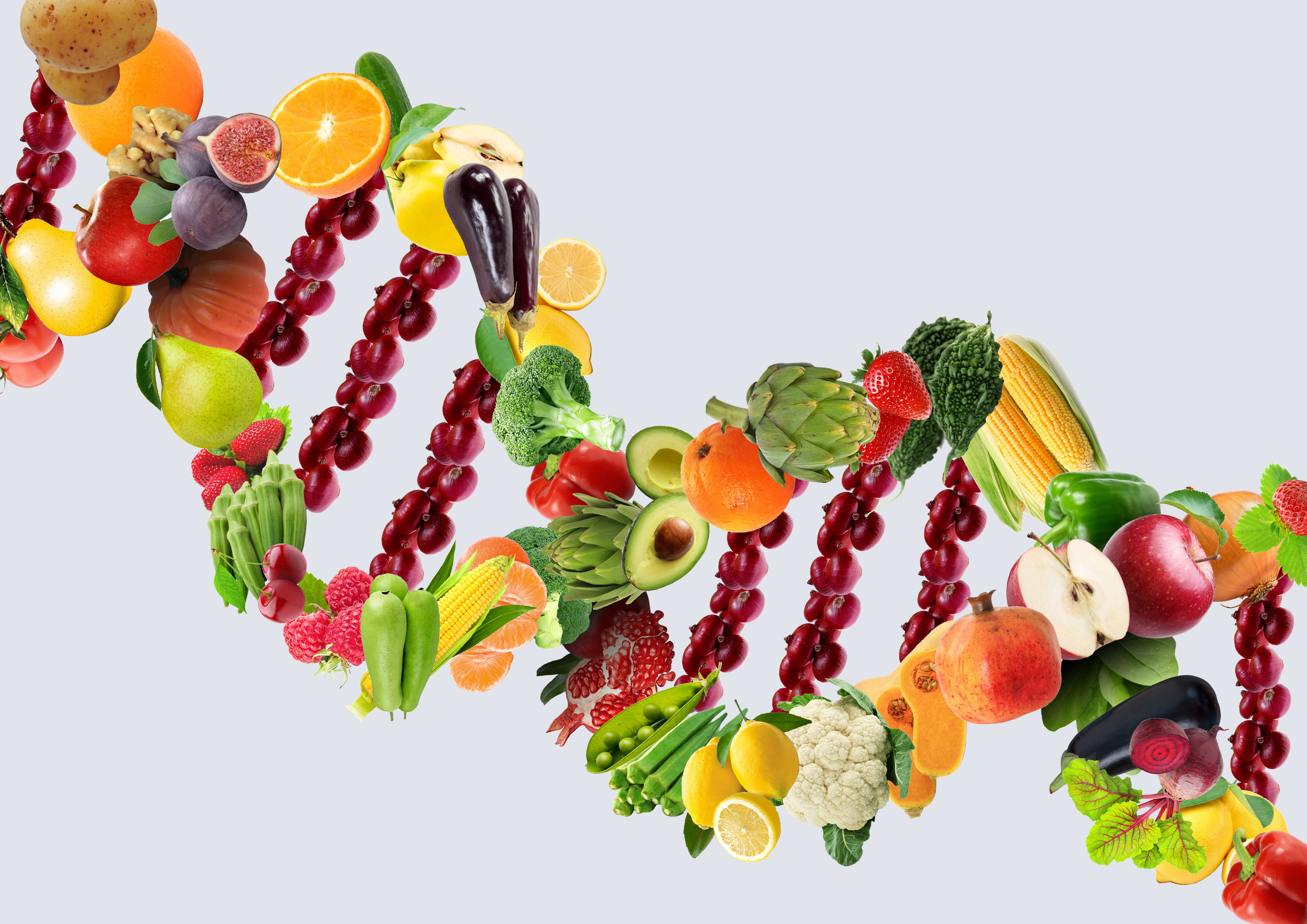 Nutrigenetics Concept Dna Strand Made With Healthy 357615203C642A7B92Cb