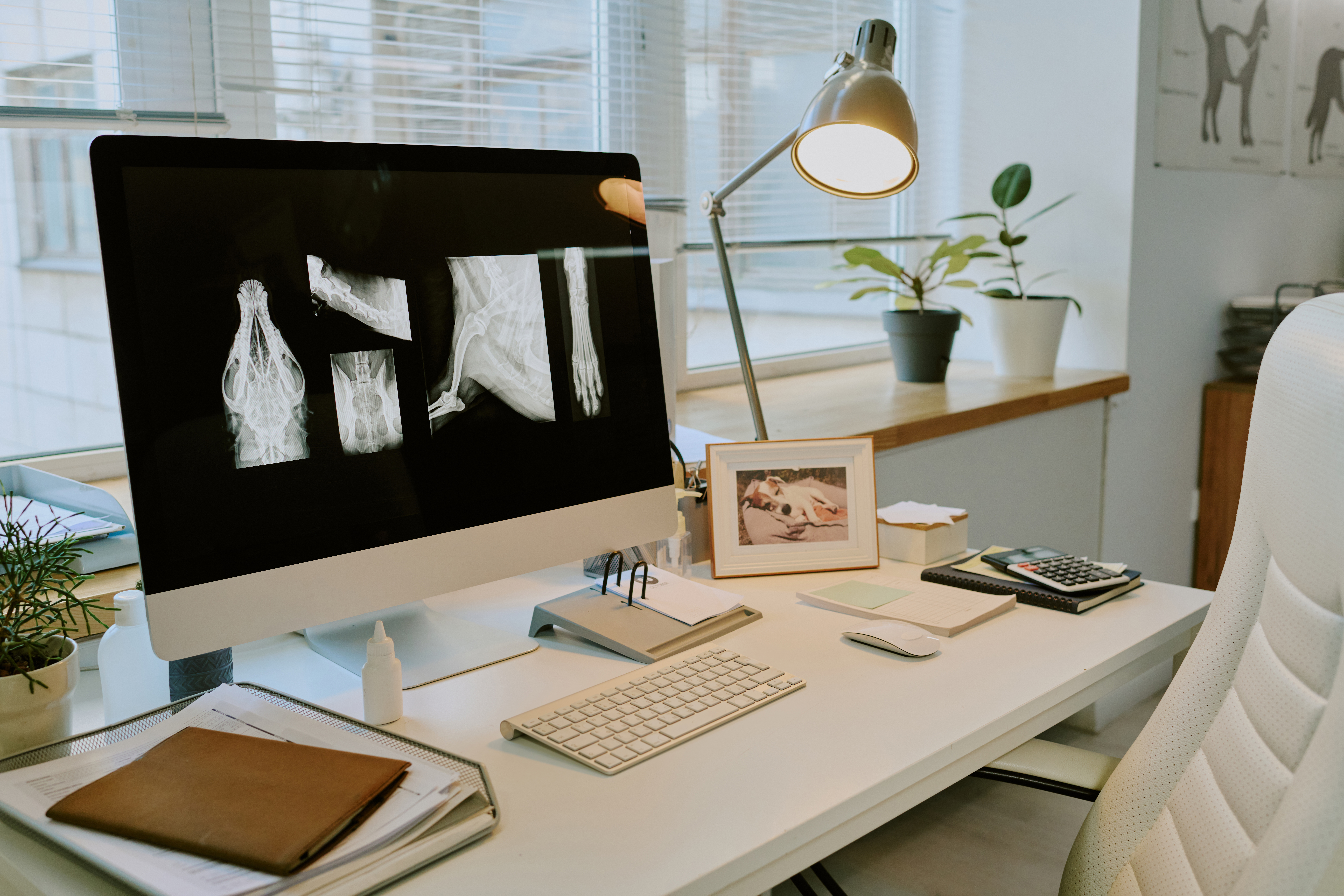organized office desk with computer showing x ray 12981271437ff92e123a
