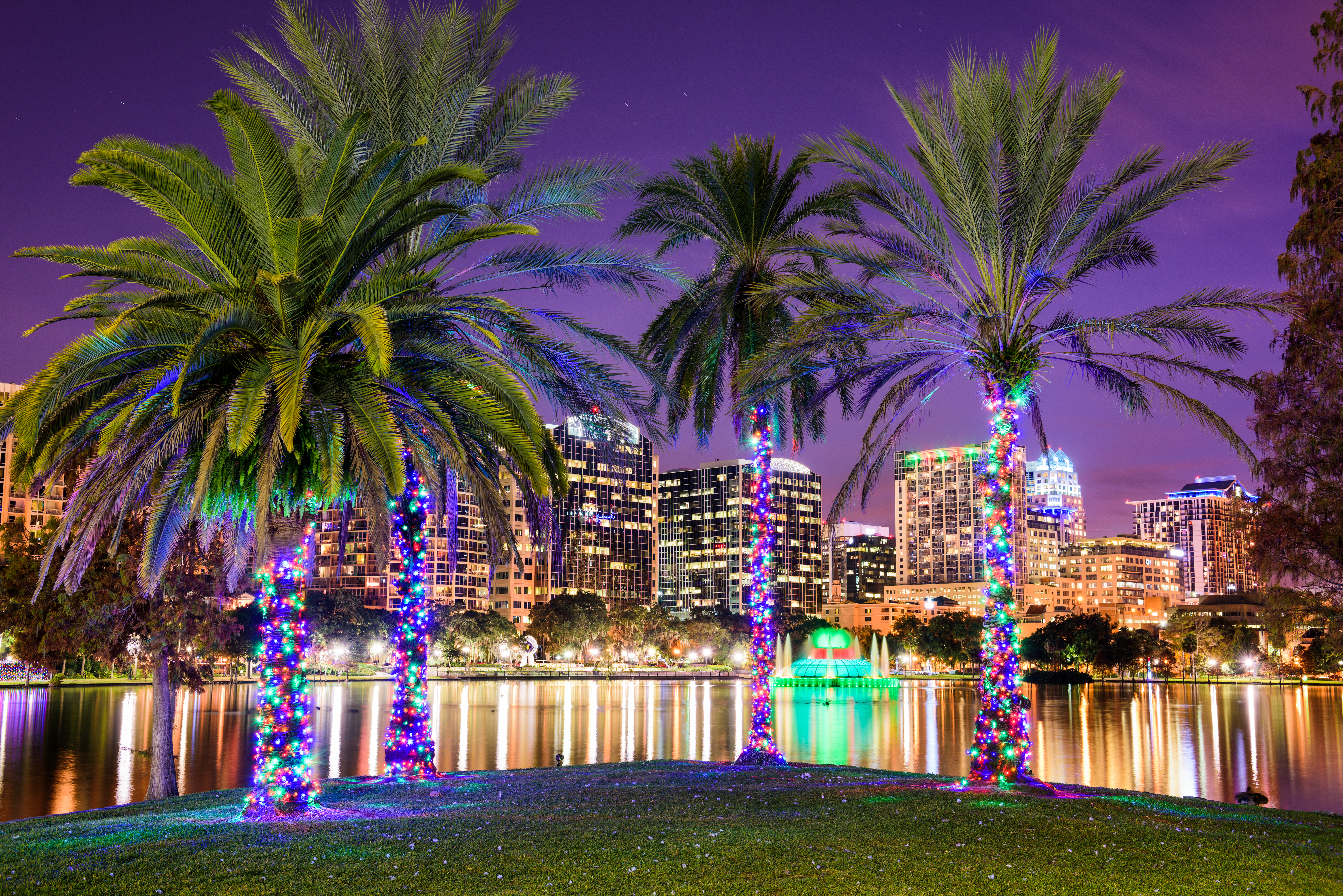 Unwrap the Magic: Top Holiday Events Near Regal Oaks for Families Untitled