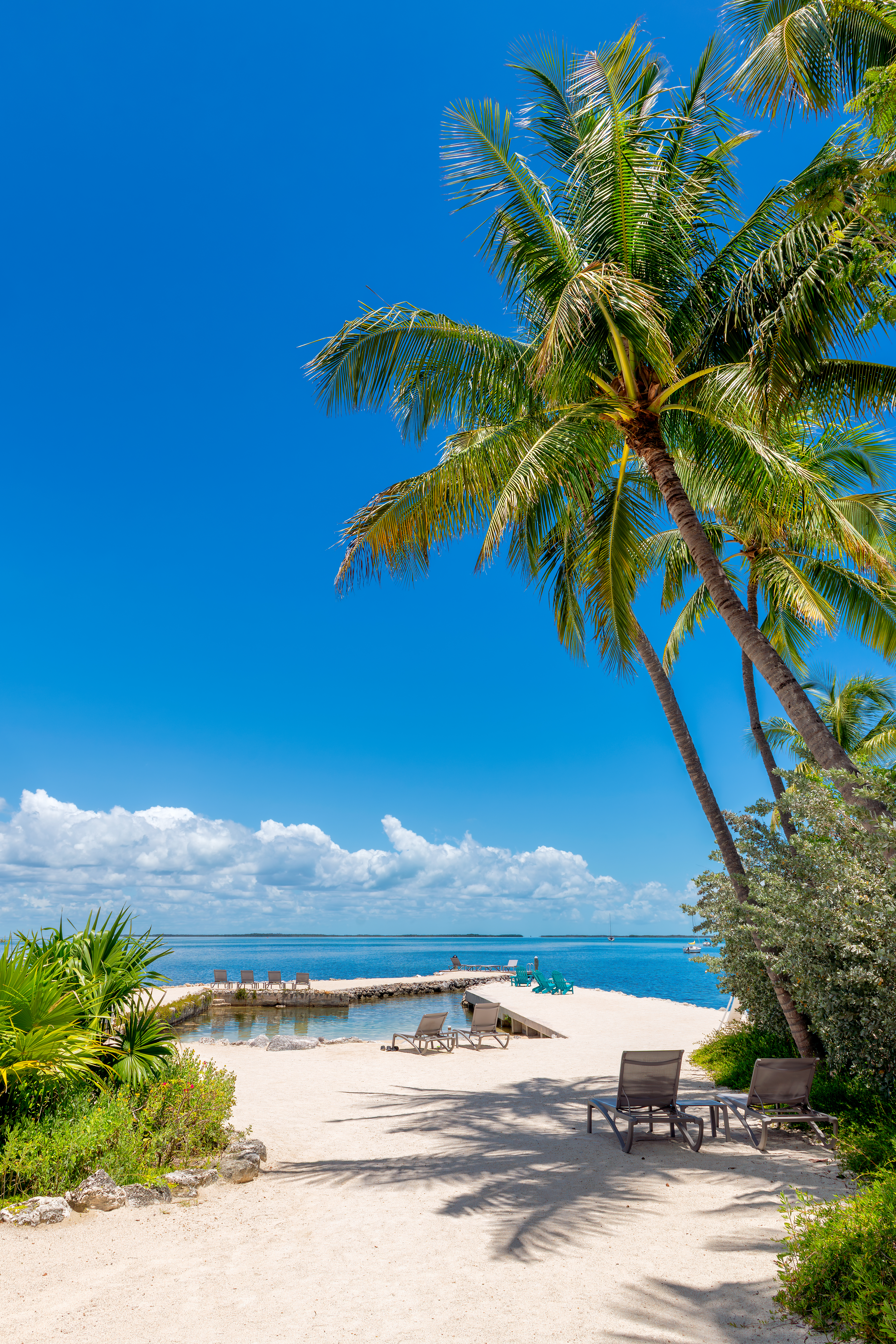 palm trees and pier in beautiful beach in tropical 6776991e2f37d8d255a6