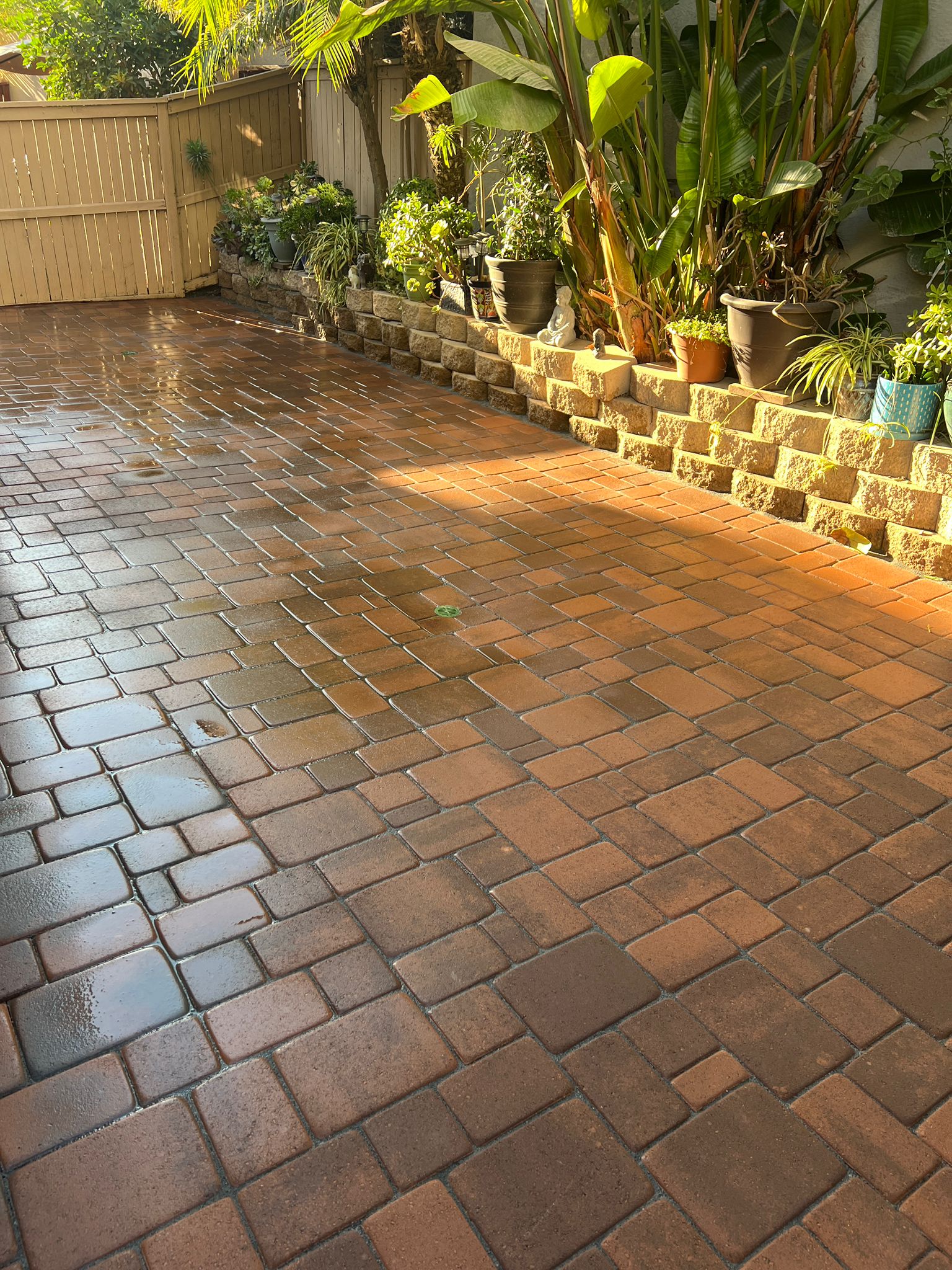 Professional driveway sealing and concrete restoration smartly extending surface life in San Diego