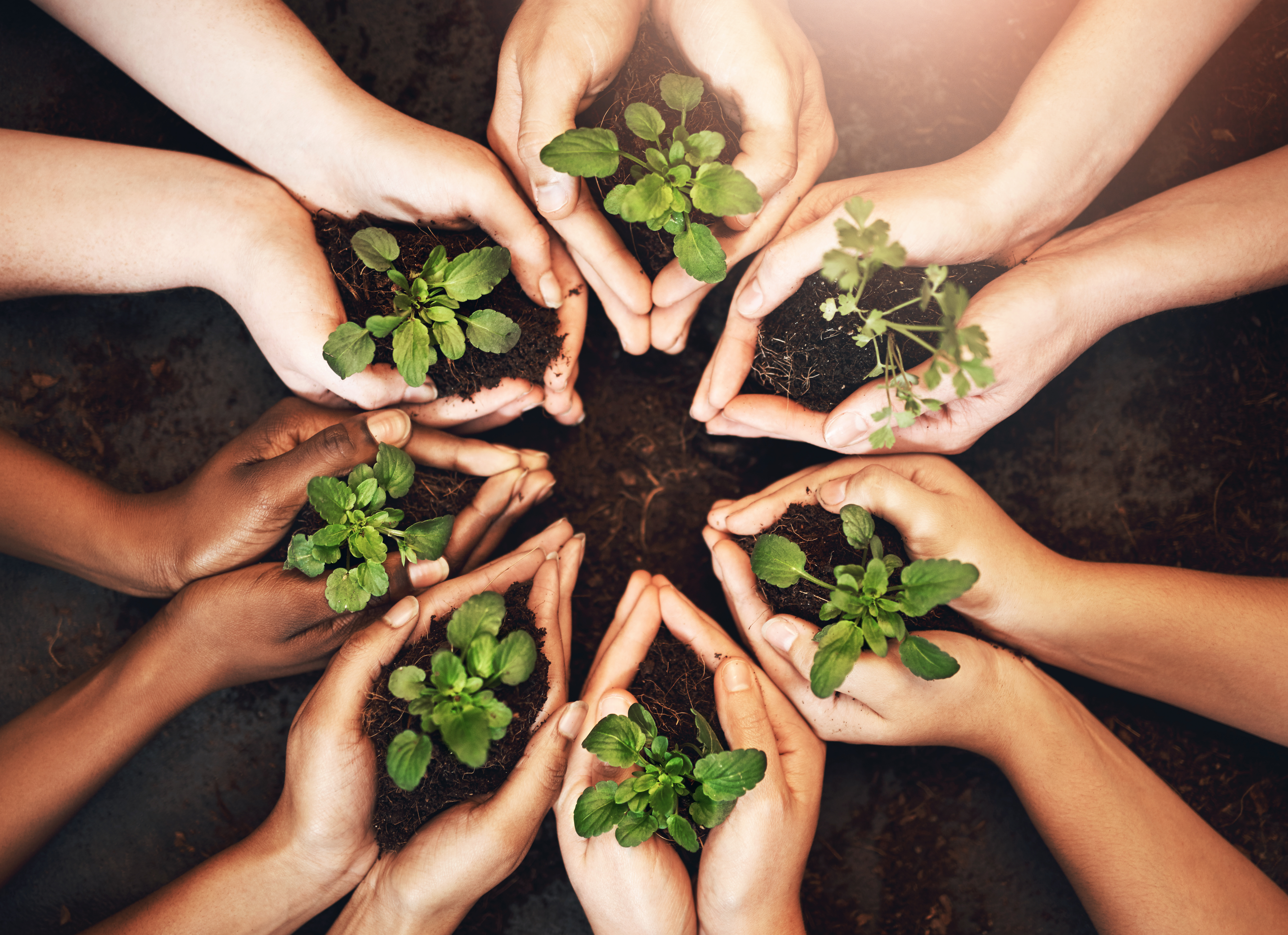 people hands and growth of plants nature and ear e5cfa9b689ccf86989b6