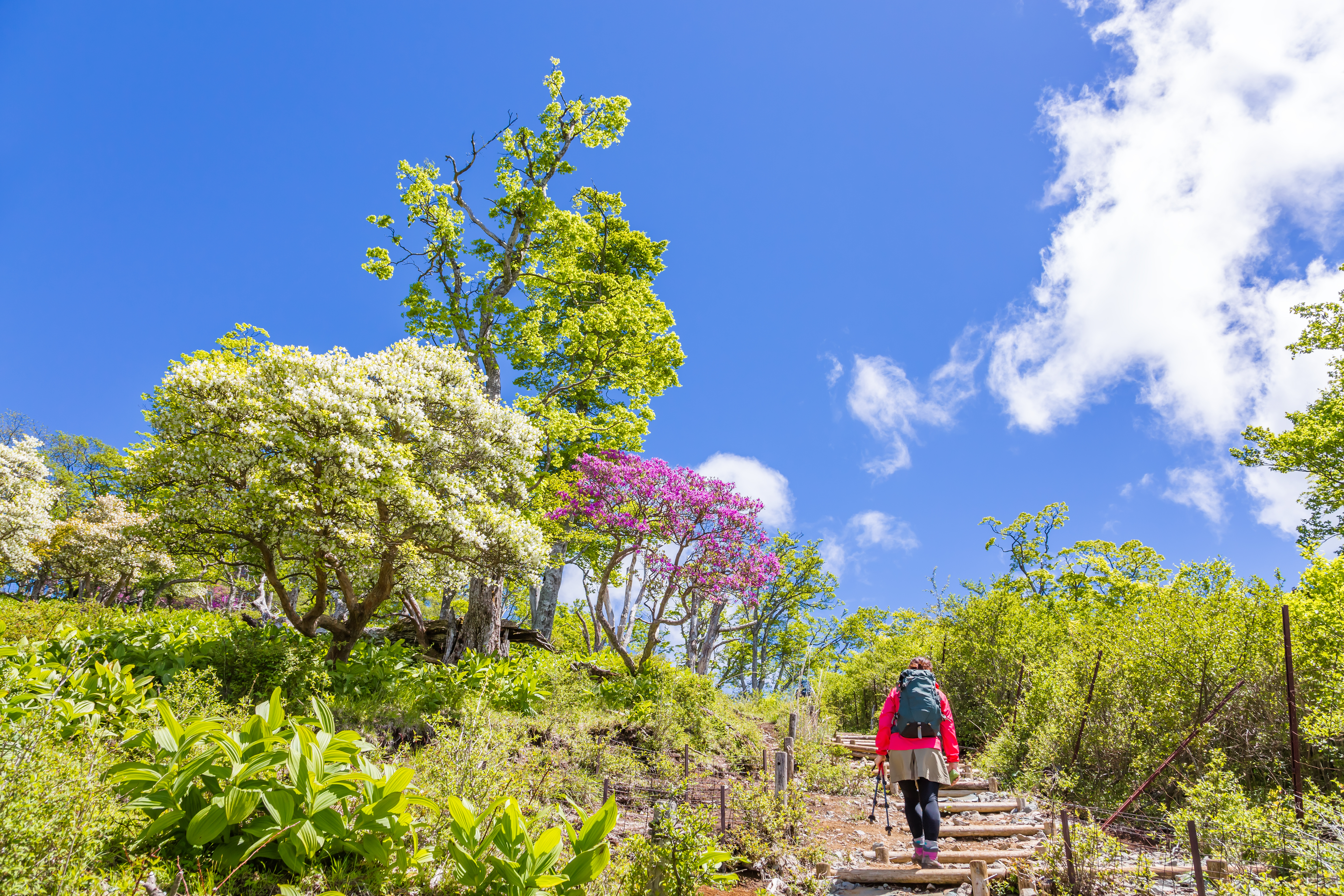 People Hiking The Mountains Of Fresh Green 0F845Ad9622741658787