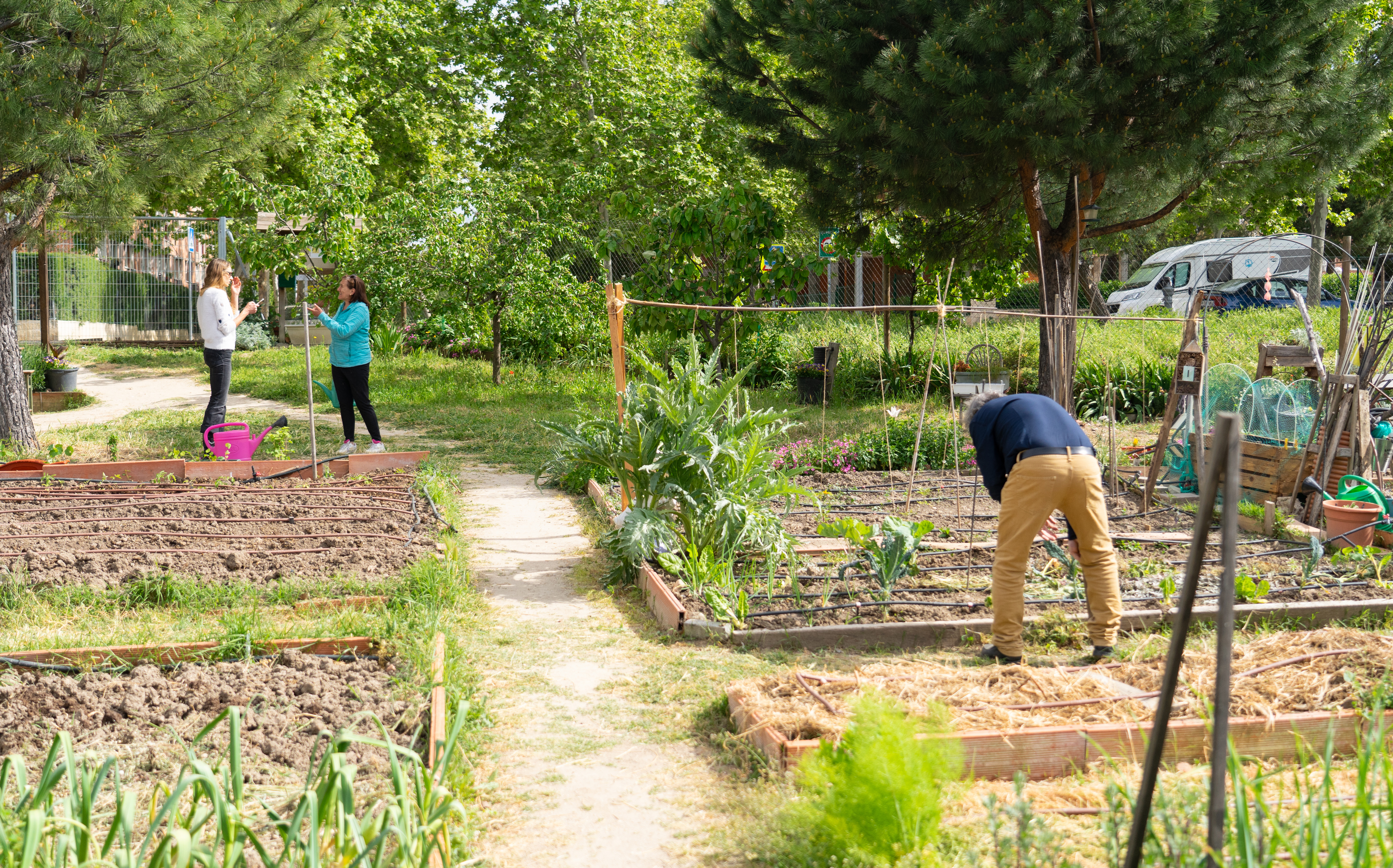 People Working In A Community Garden Growing Veget 22676bd5cb548aa4644c