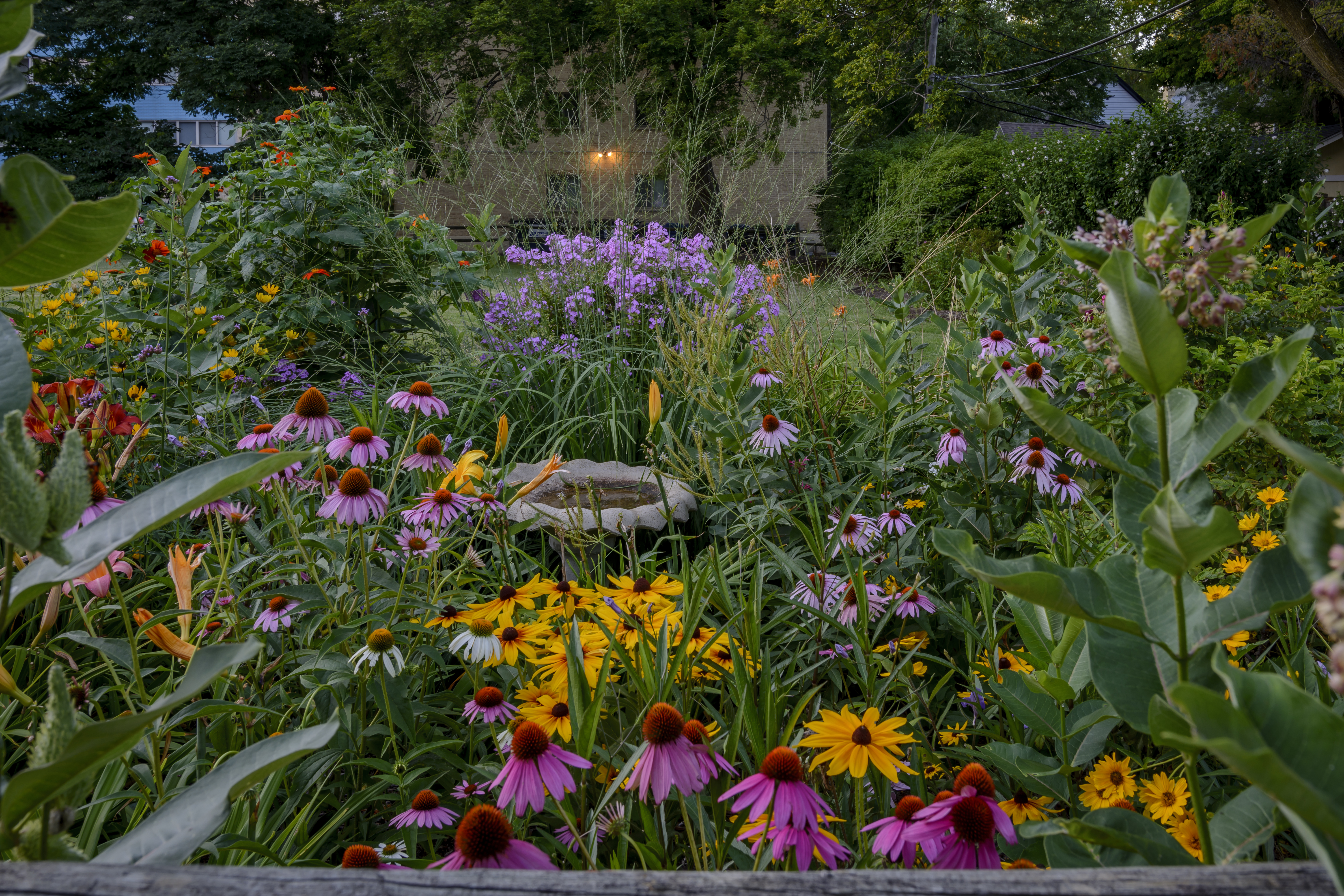 Perennials Garden A7f8ed5d574576f71169
