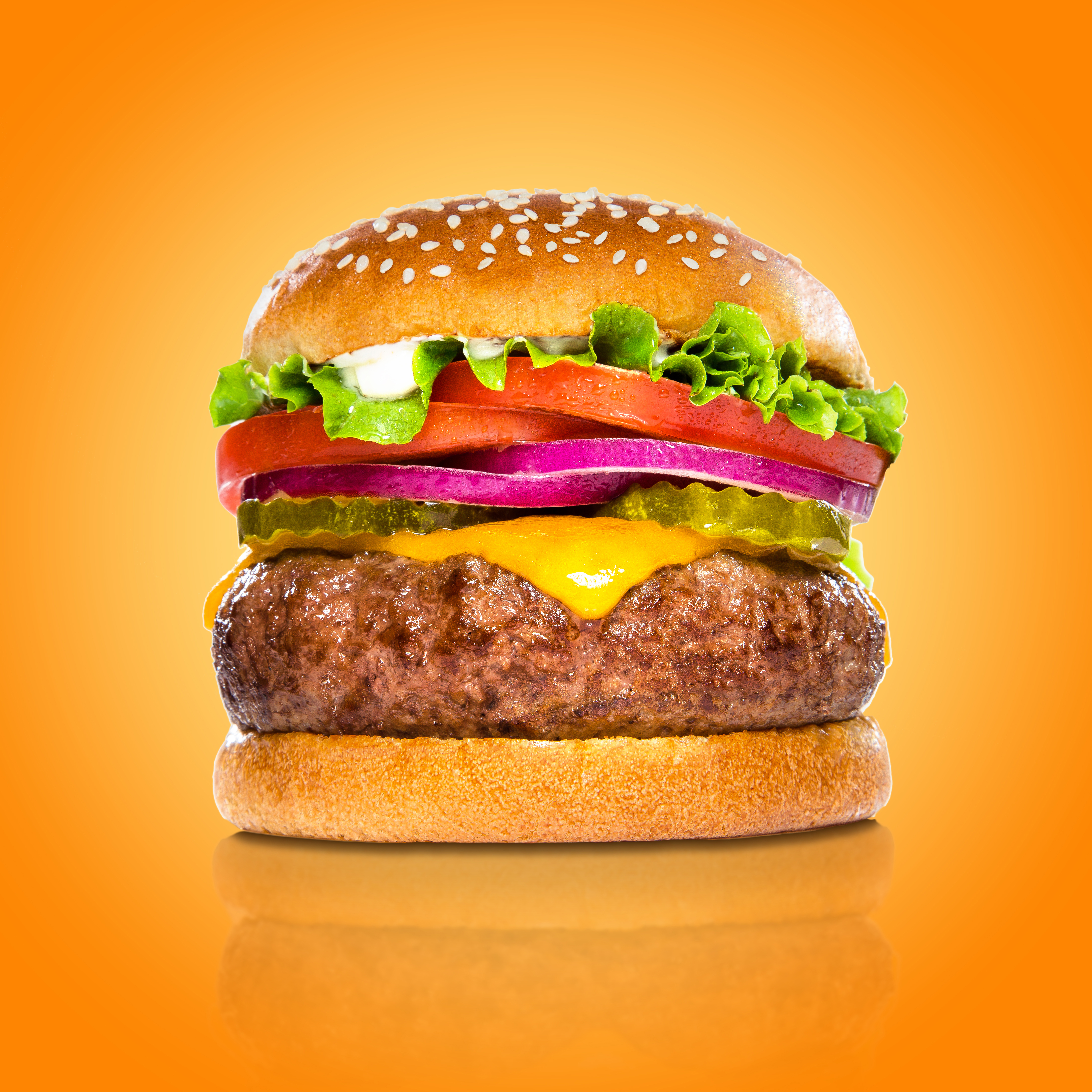 perfect hamburger classic burger american cheesebu 8c4b33a979a05d90c59a