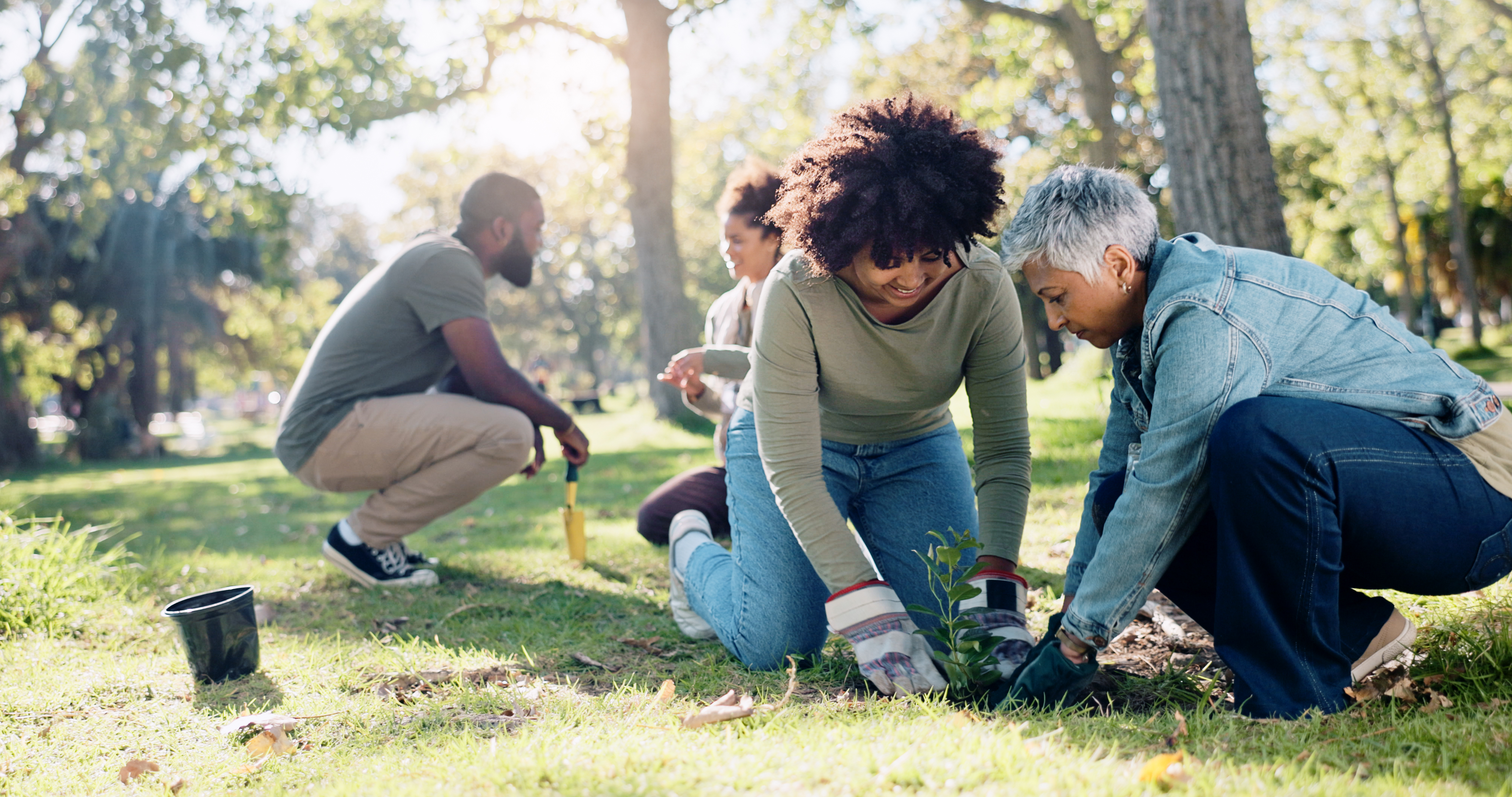 Sustainable Gardening for Beginners: Your Journey to a Greener Thumb 🌱 Planting Support And Community People In Park Na 77e500e469eec7e1ecac