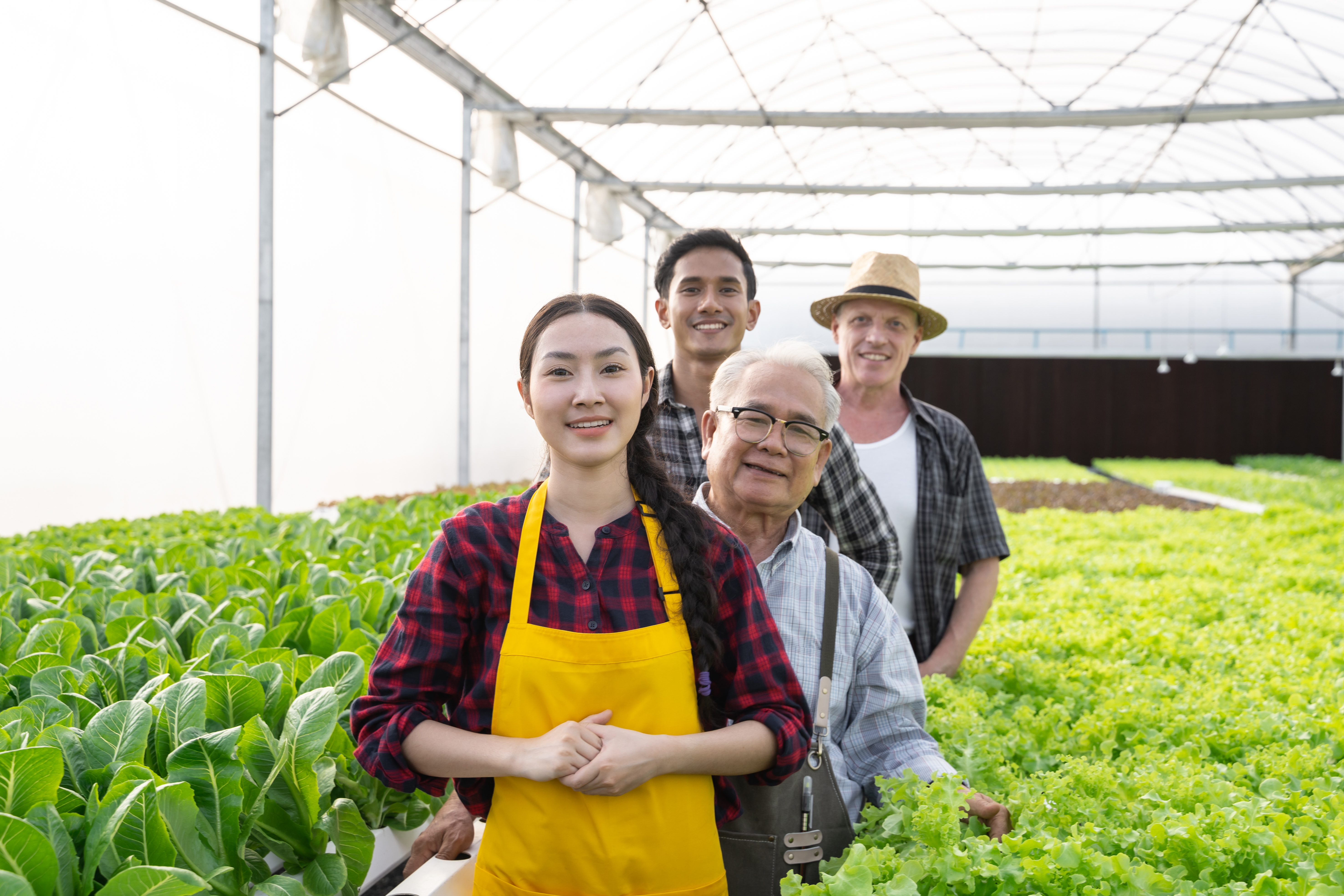 portrait group of team worker organic vegetables f815715bd1cac5fdb69b