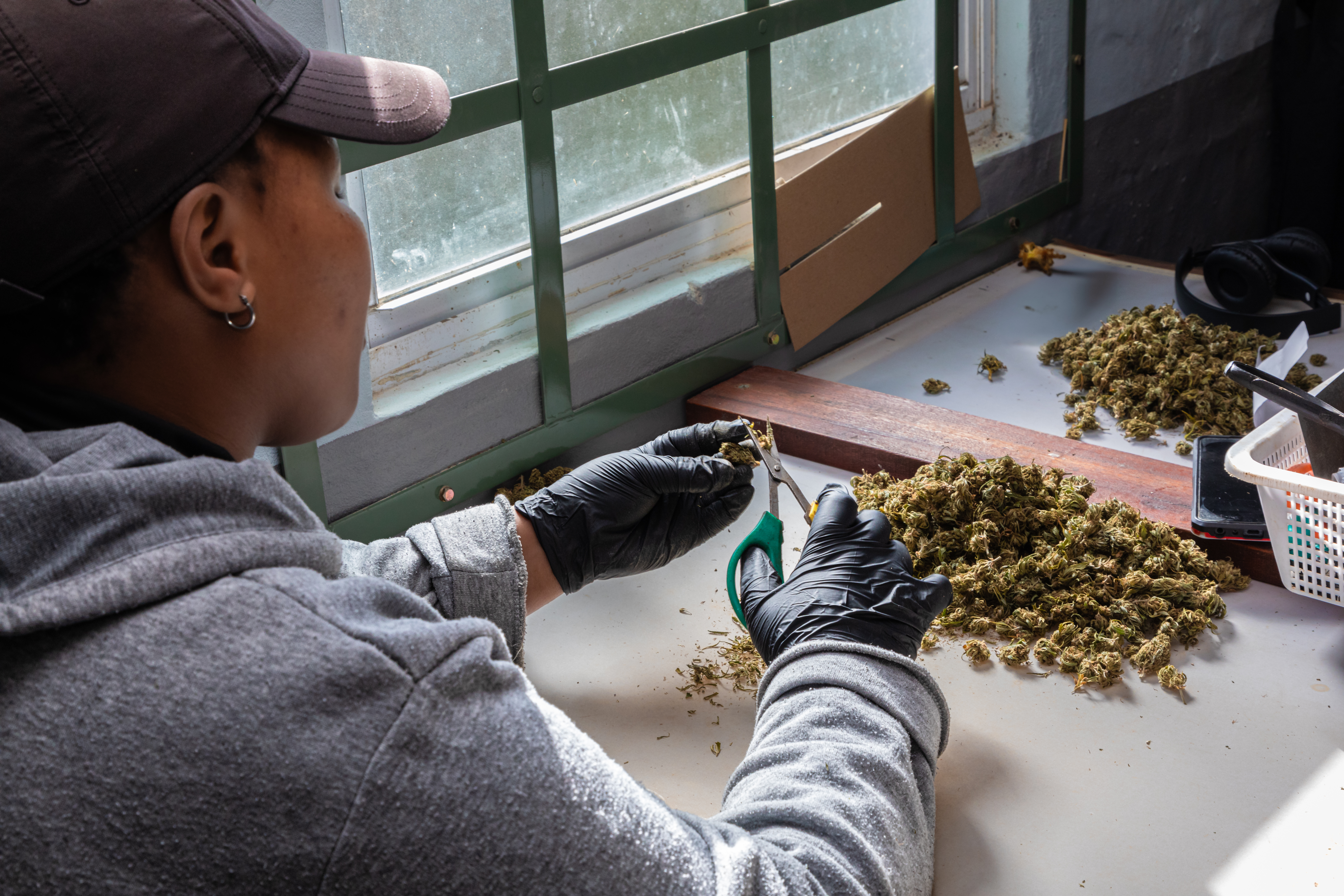 Why Community-Driven Cannabis Retail Is Surging in 2026—and How to Lead It