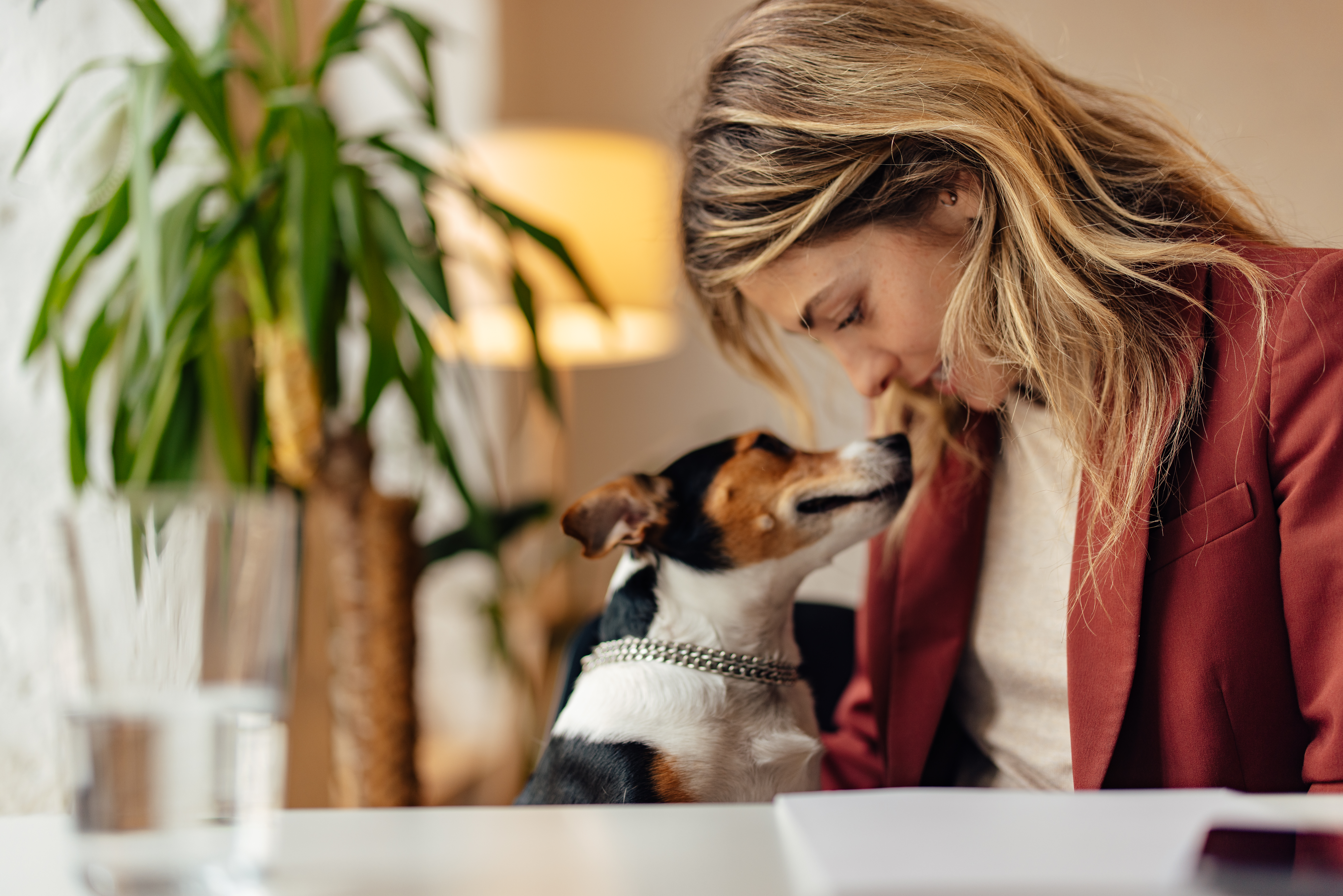 Building Trust and Value in Sales: A Script-Free Journey