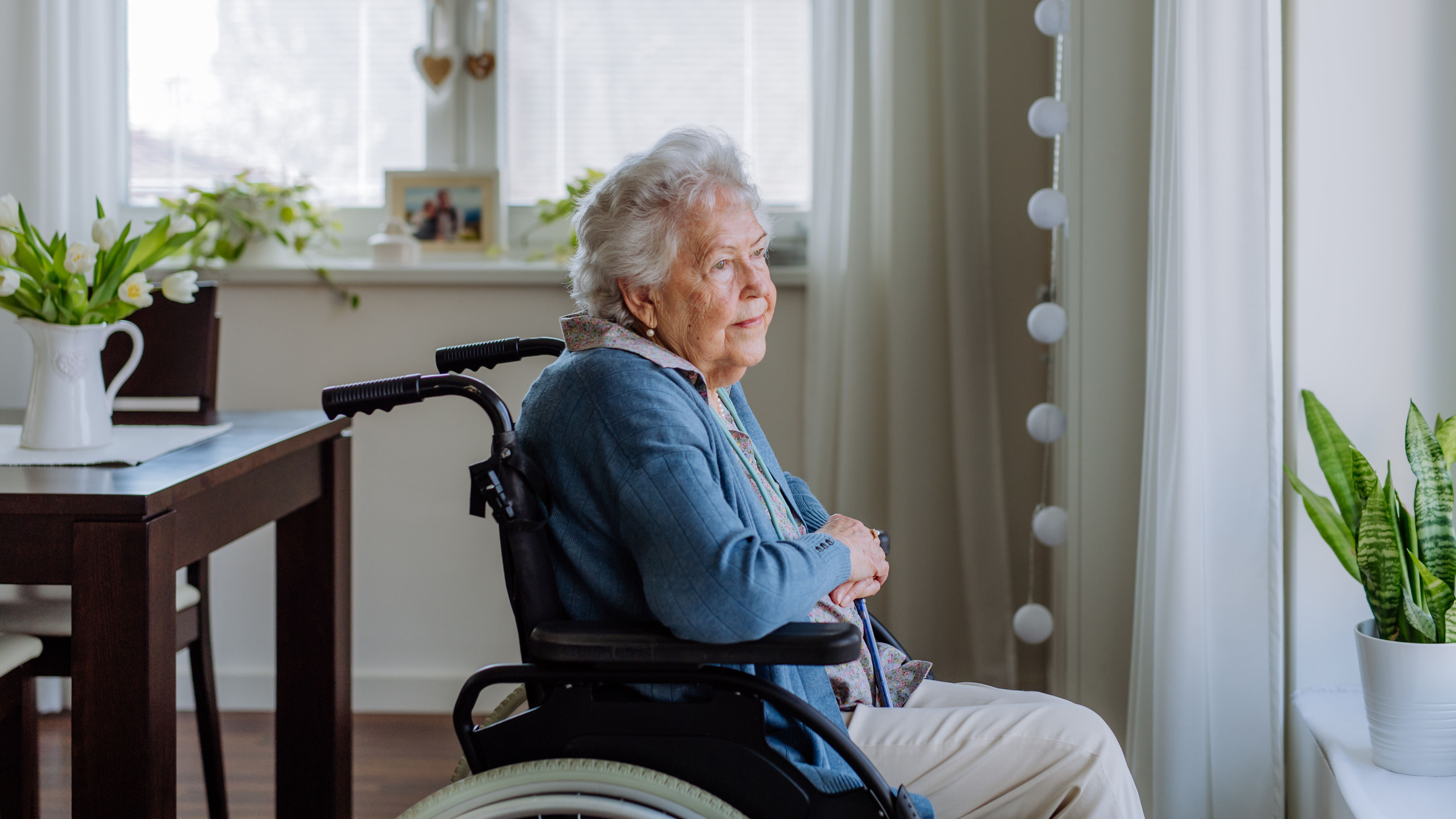 portrait of senior woman on a wheelchair 2bf793cf379ddcbac176