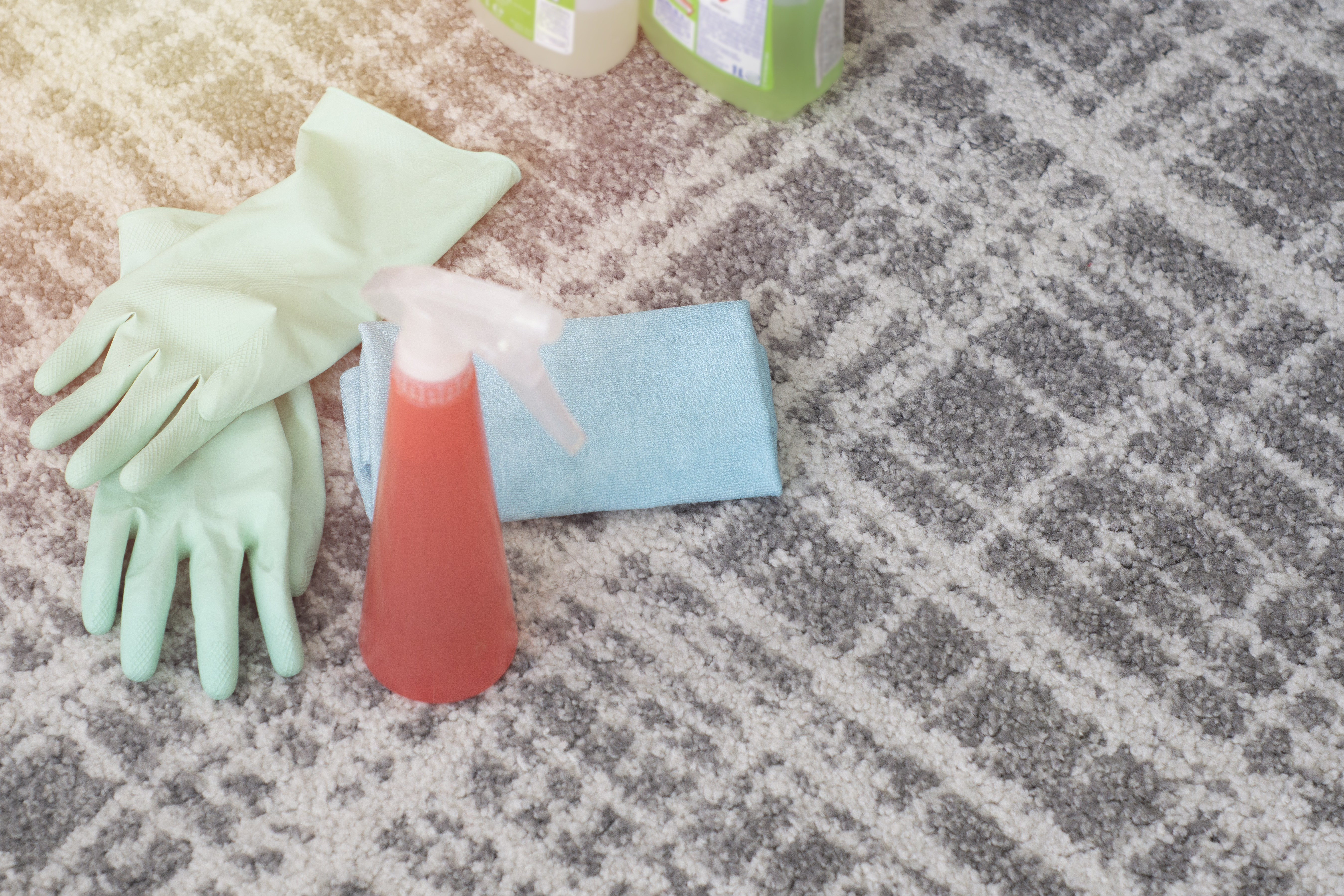 Carpet Care 101: Essential Dos and Don'ts for Spot Cleaning 7 removing stain 29bf59d2654b3115eb6c