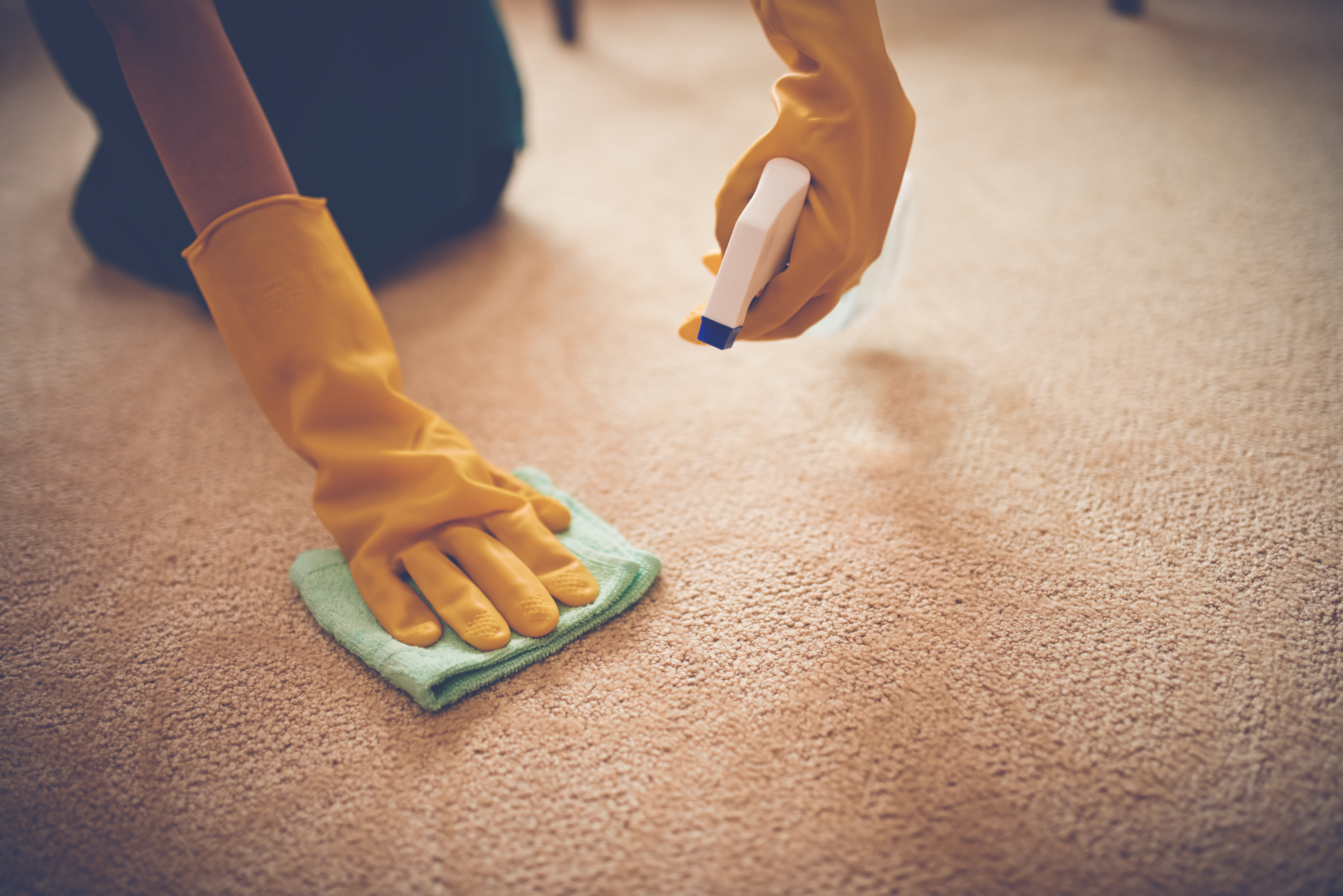 Carpet Care 101: Essential Dos and Don'ts for Spot Cleaning 1 removing stain c92776744926b2b9f5c2