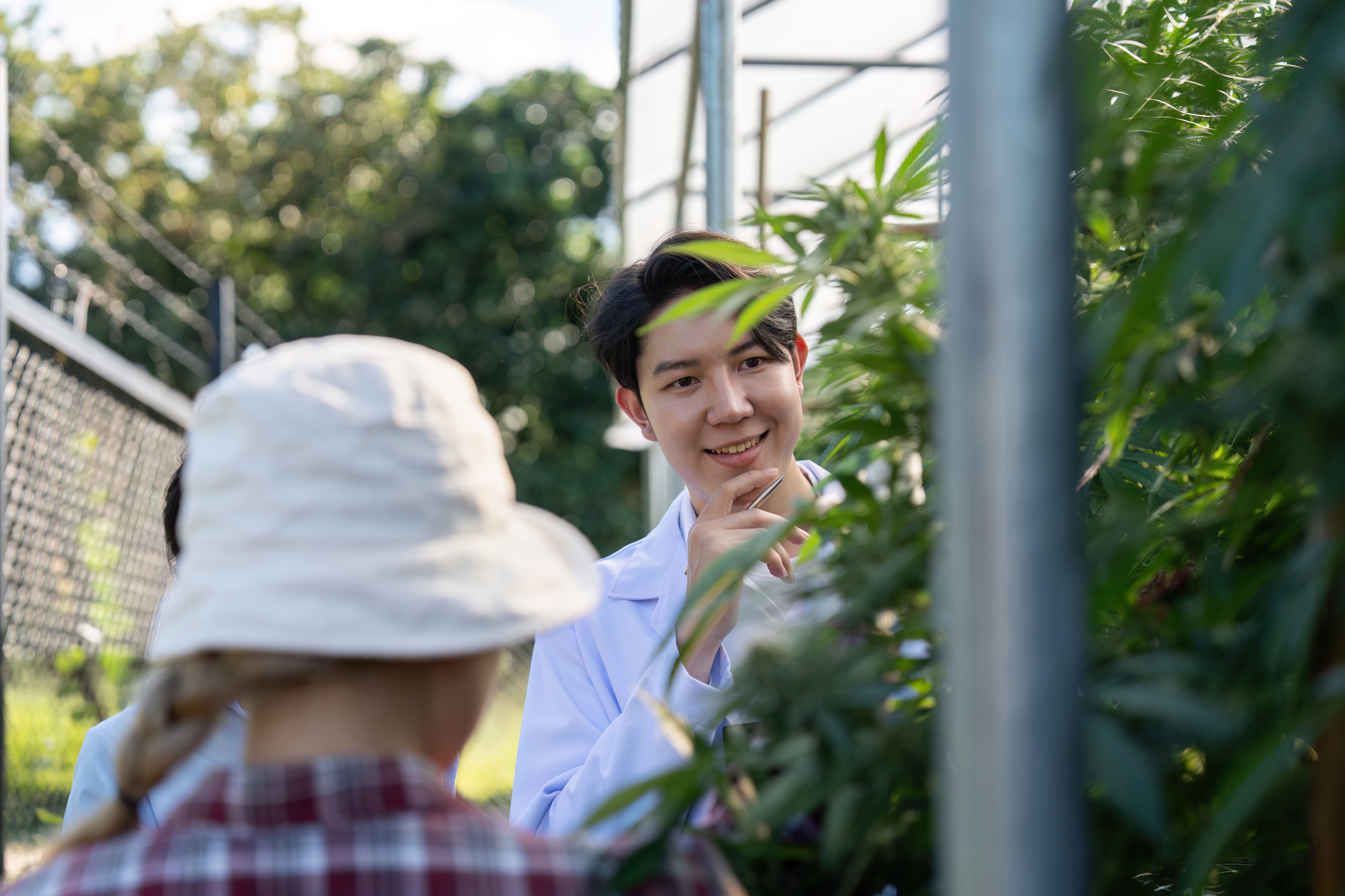 research on cannabis cultivation practices botanic 170759af4cd0b18d193b