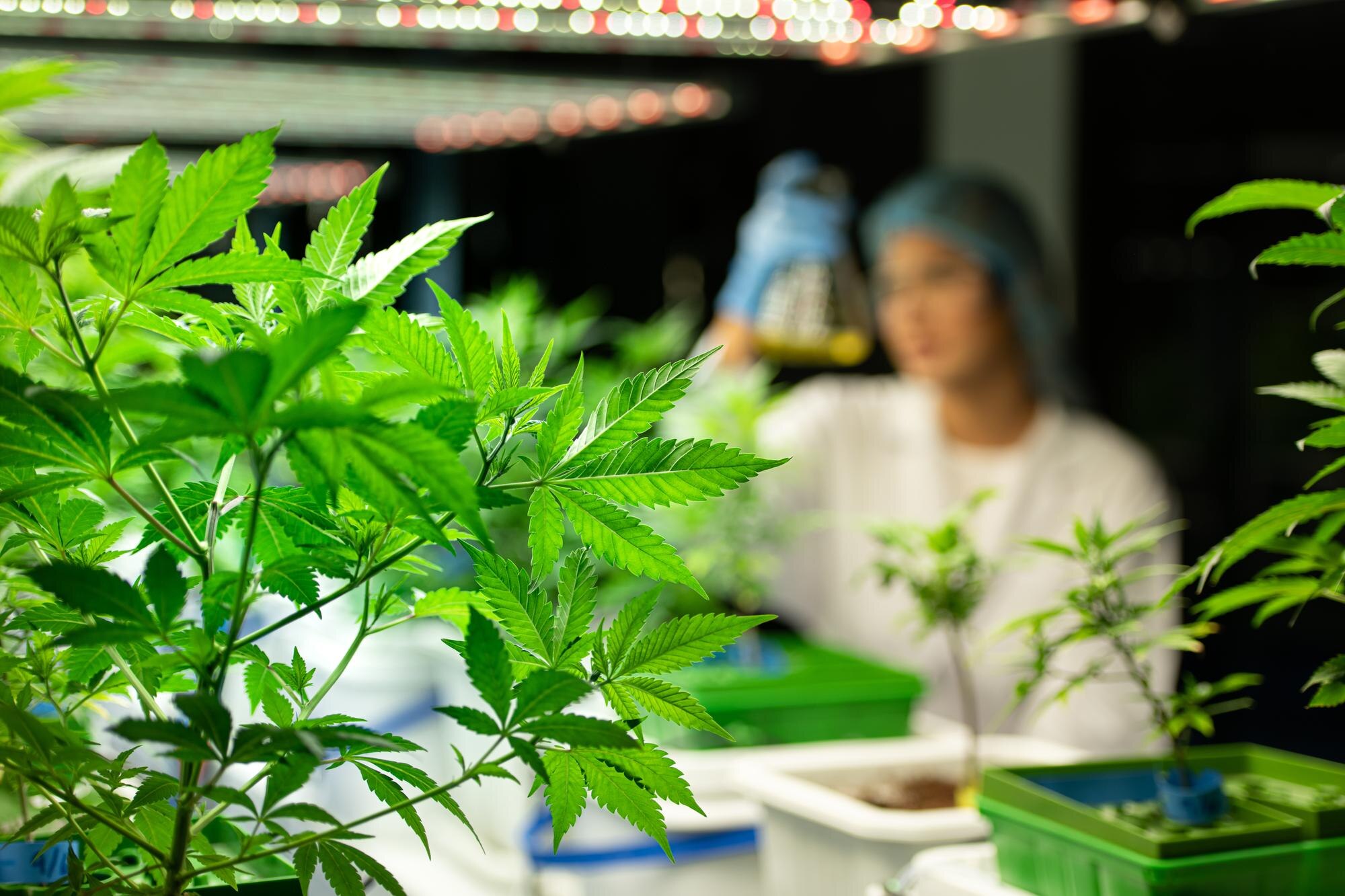 Unlock the Power of Customer-Driven Inventory: Transform Your Dispensary with Product Requests