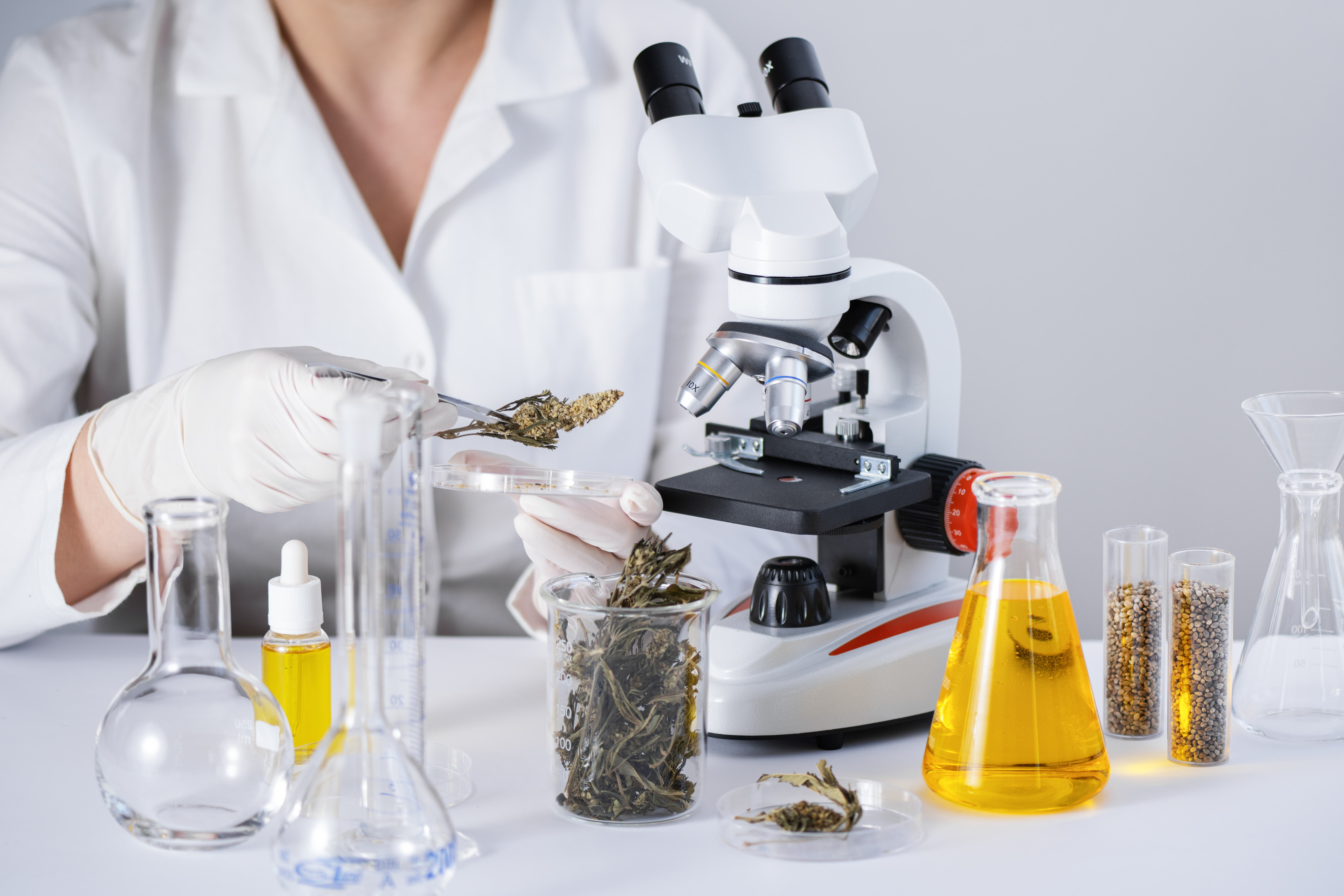 Trust the Herb: Why Product Safety Testing is Key to a High-Quality Cannabis Experience