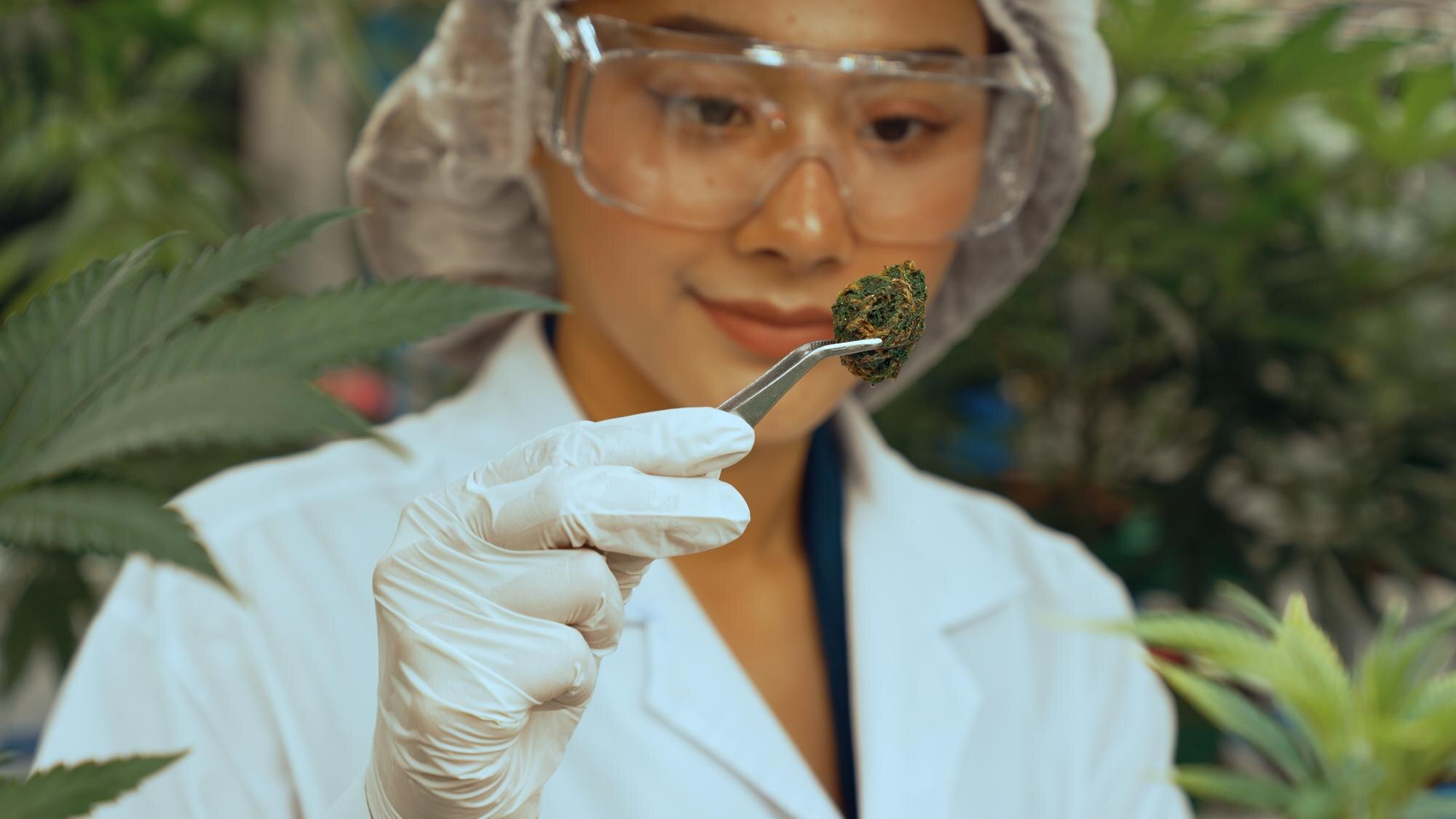 Why Quality Assurance in Cannabis Matters: Behind the Scenes at Elevation 6420