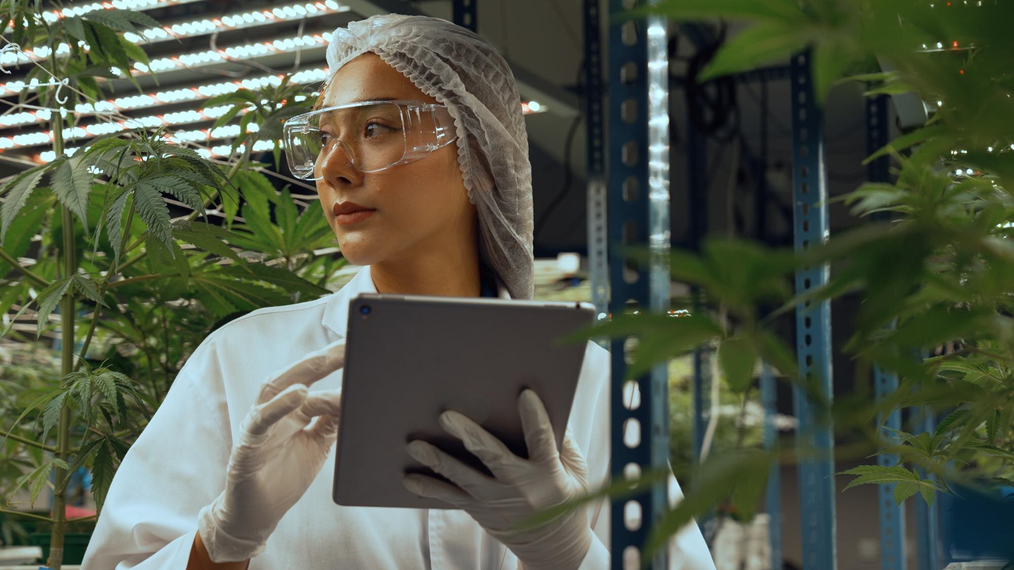 Compliance, Simplified: Turn Regulations into Revenue with RequestWeed