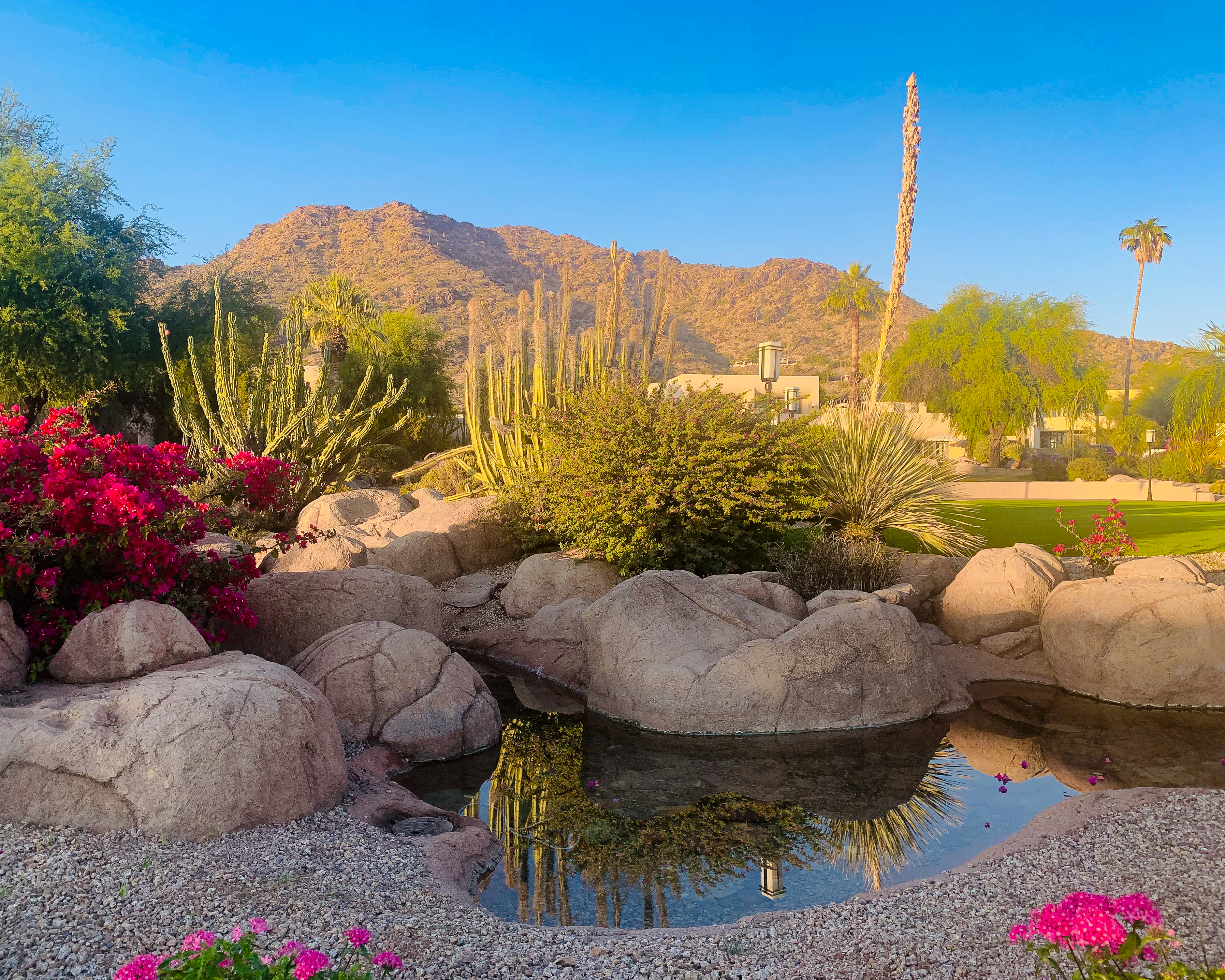 Dream Homes in Scottsdale: Exceptional Outdoor Living Spaces with Scenic Views
