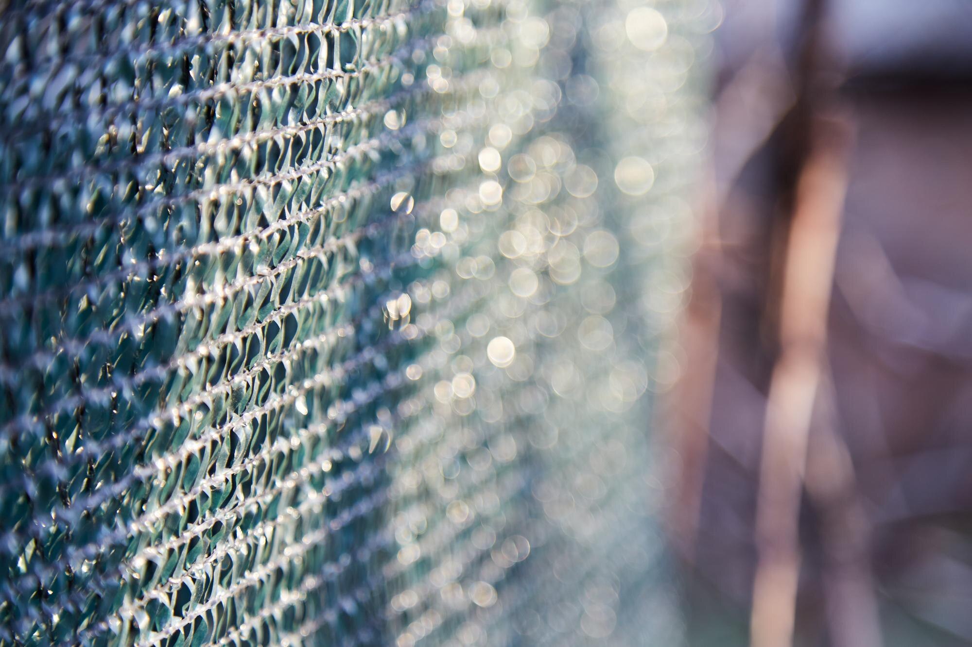 The Environmental Advantages of Supporting Local Plastic Manufacturers in Australia 1 seamless abstract background or texture with bokeh 9be84091b0ede4a3d4b5