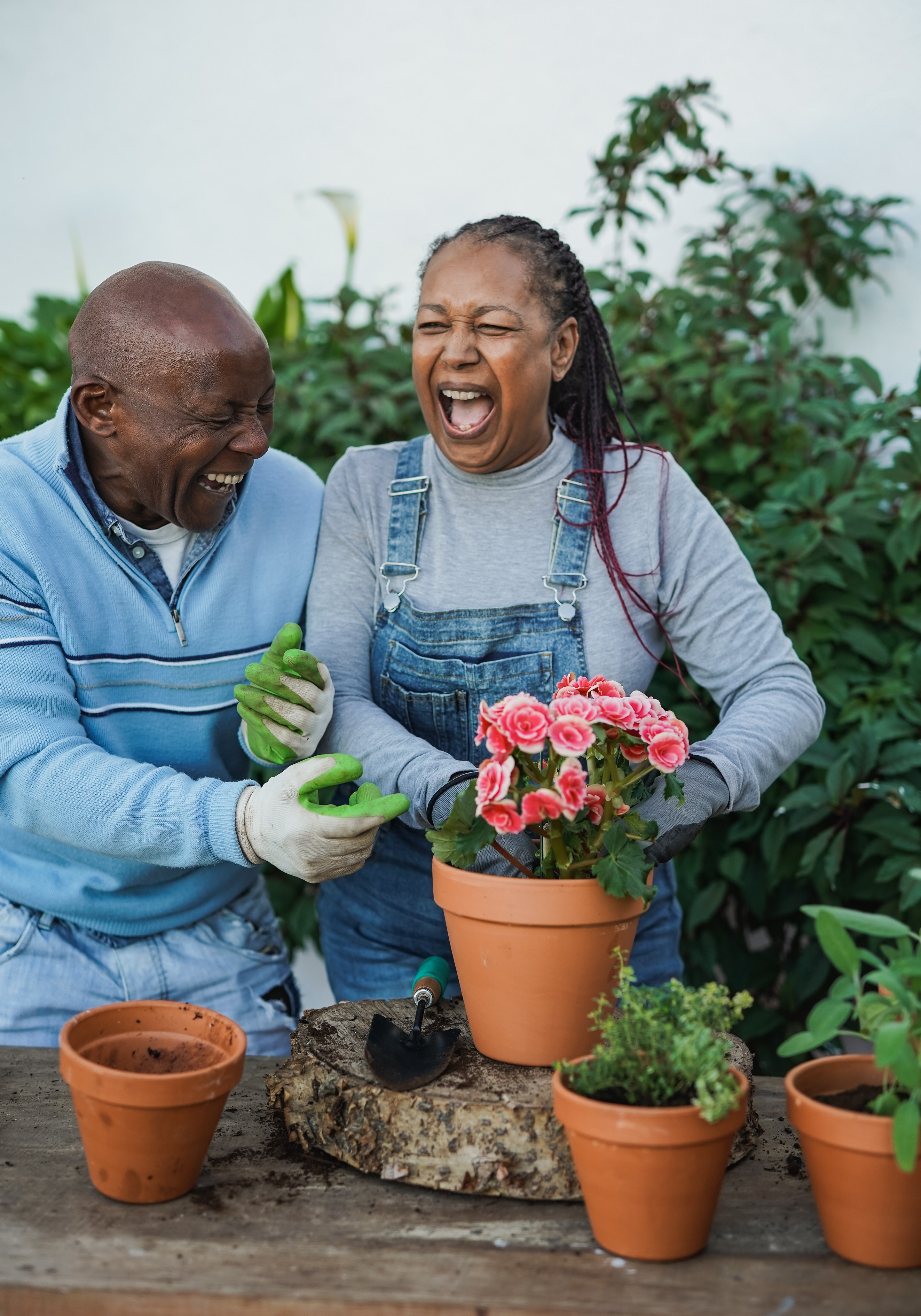 The Surprising Ways Gardening Can Boost Your Mental Health Every Day Senior African Couple Having Fun Gardening Togethe B1149b8245d2a09bd170