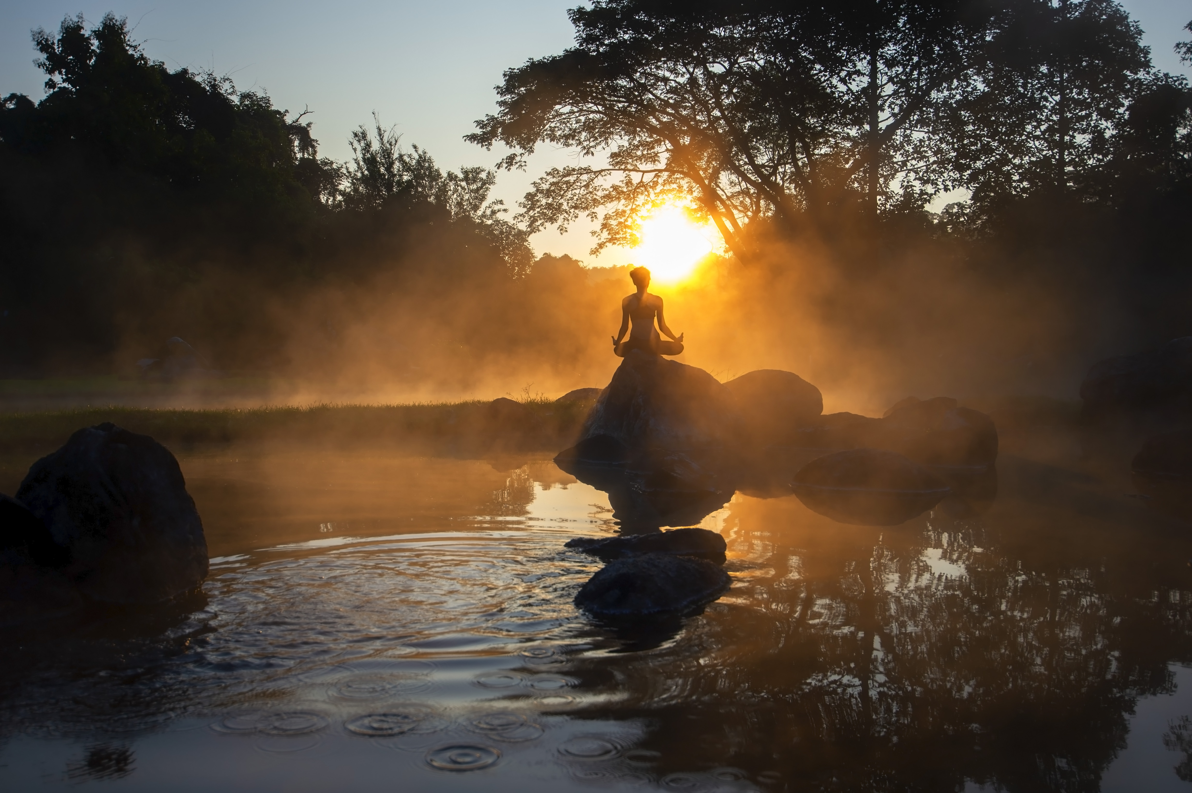 Equinox Rituals: Gentle Practices for Reflection, Balance, and Renewal