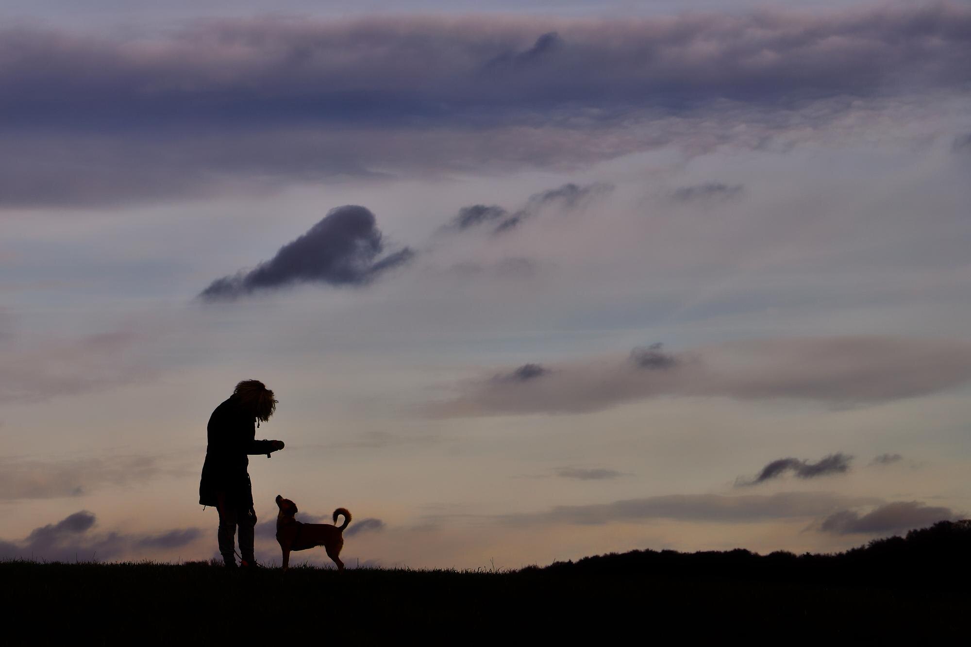 Scattering Ashes at Sea