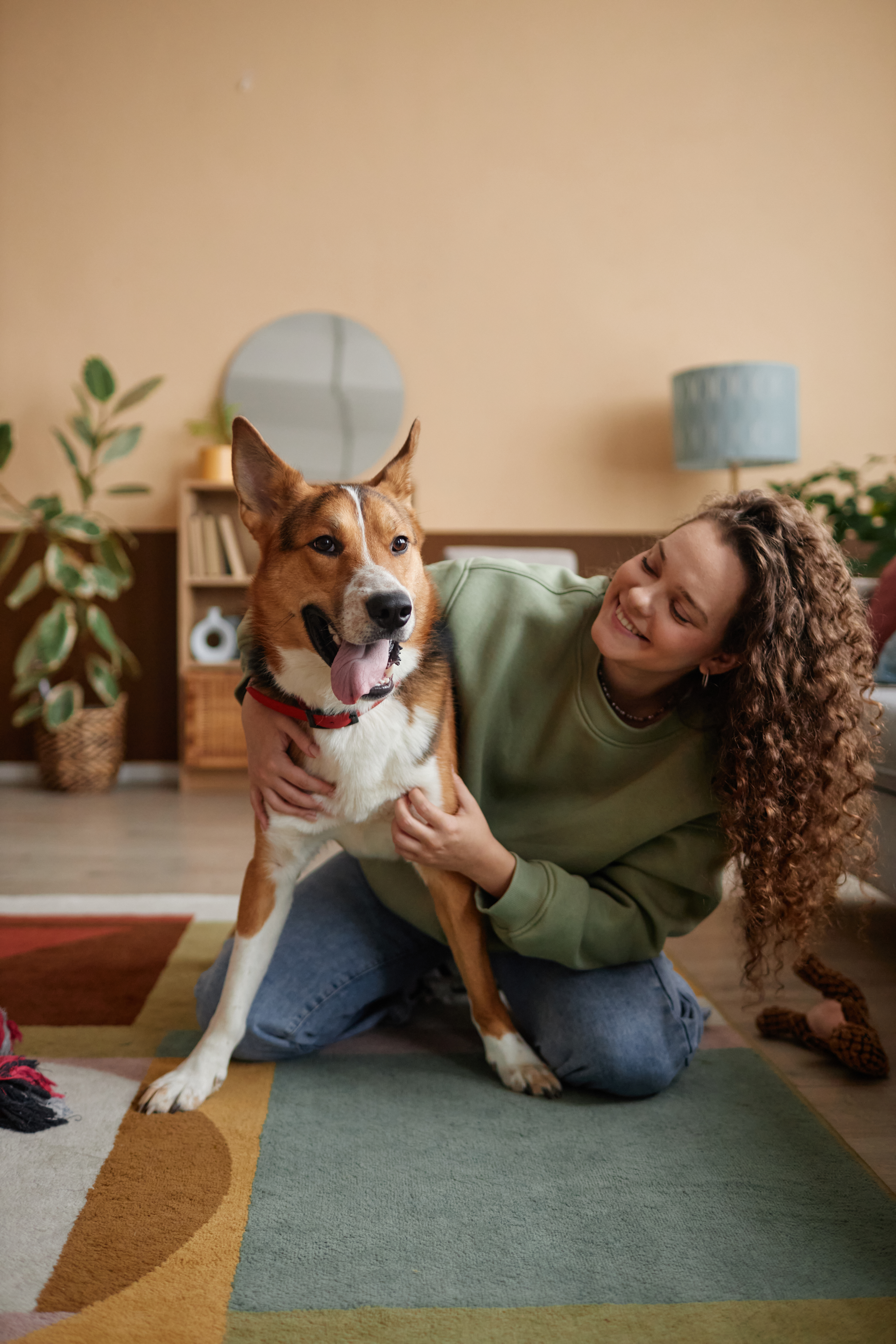 Affordable Pet Sitting Tallahassee