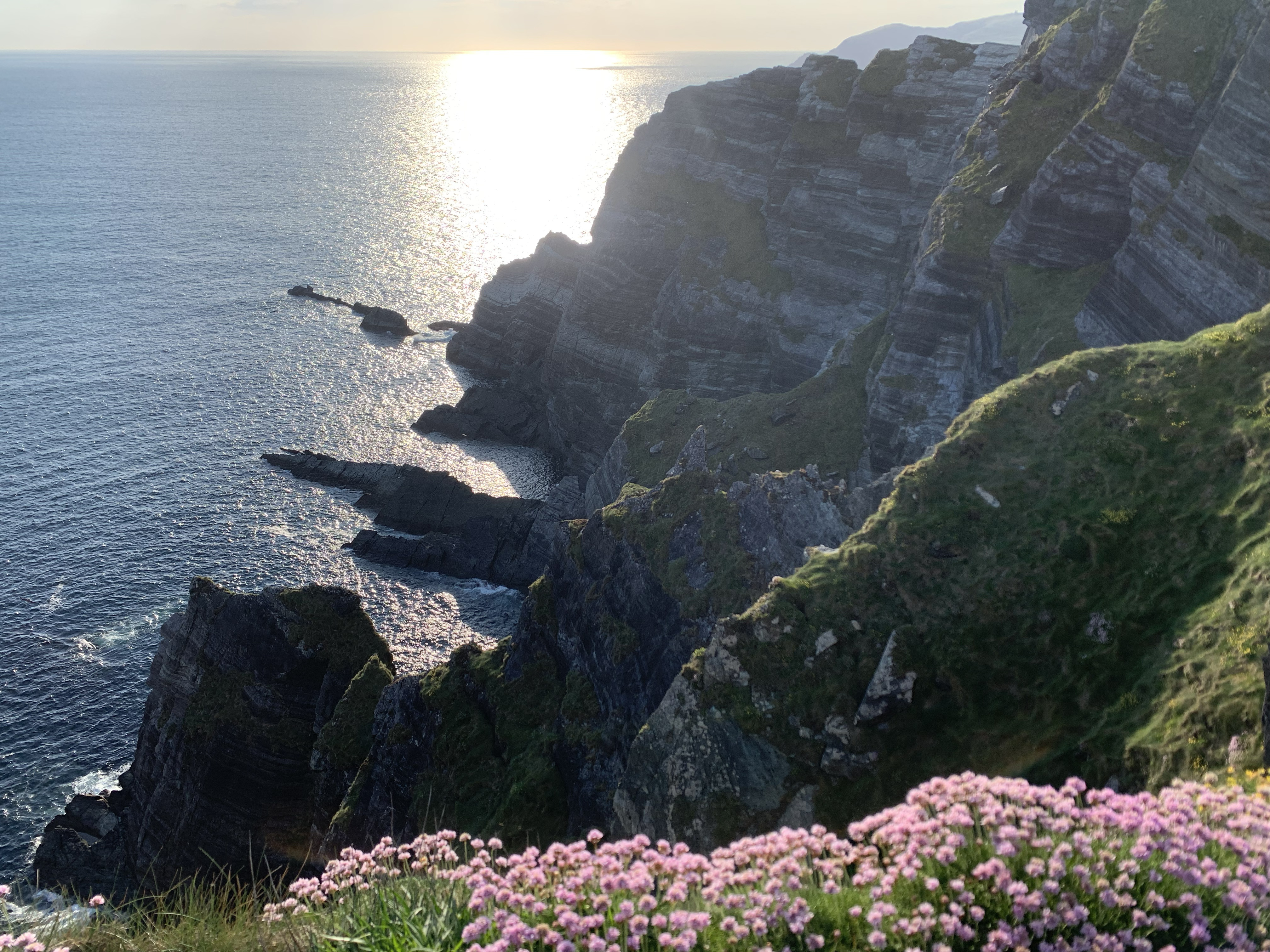 sunset at kerry cliffs with wildflowers ireland 48fd6eb282d29dd064f5 BTOURS