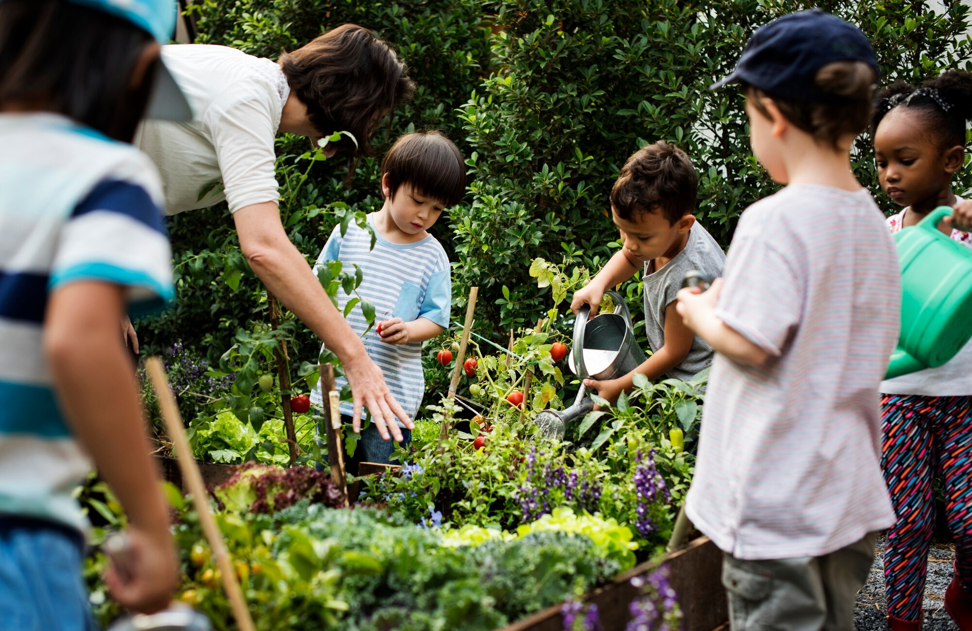 Sowing Seeds of Change: Help Us Build a School Garden! Teacher And Kids School Learning Ecology Gardening 4e00ed0123b4f9388340