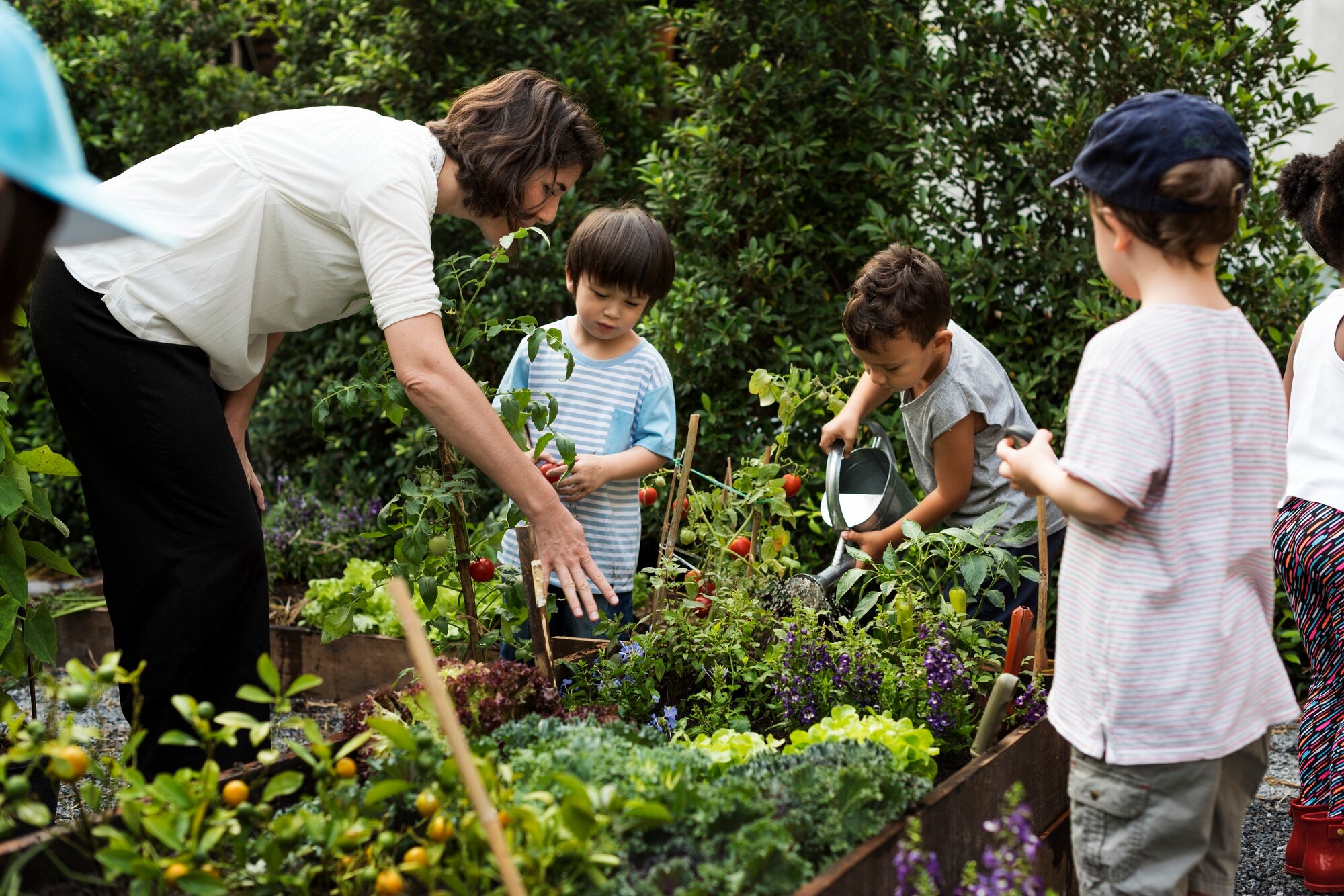 Sowing Seeds of Change: Help Us Build a School Garden! Teacher And Kids School Learning Ecology Gardening 69ae0783b1234d6c4f68