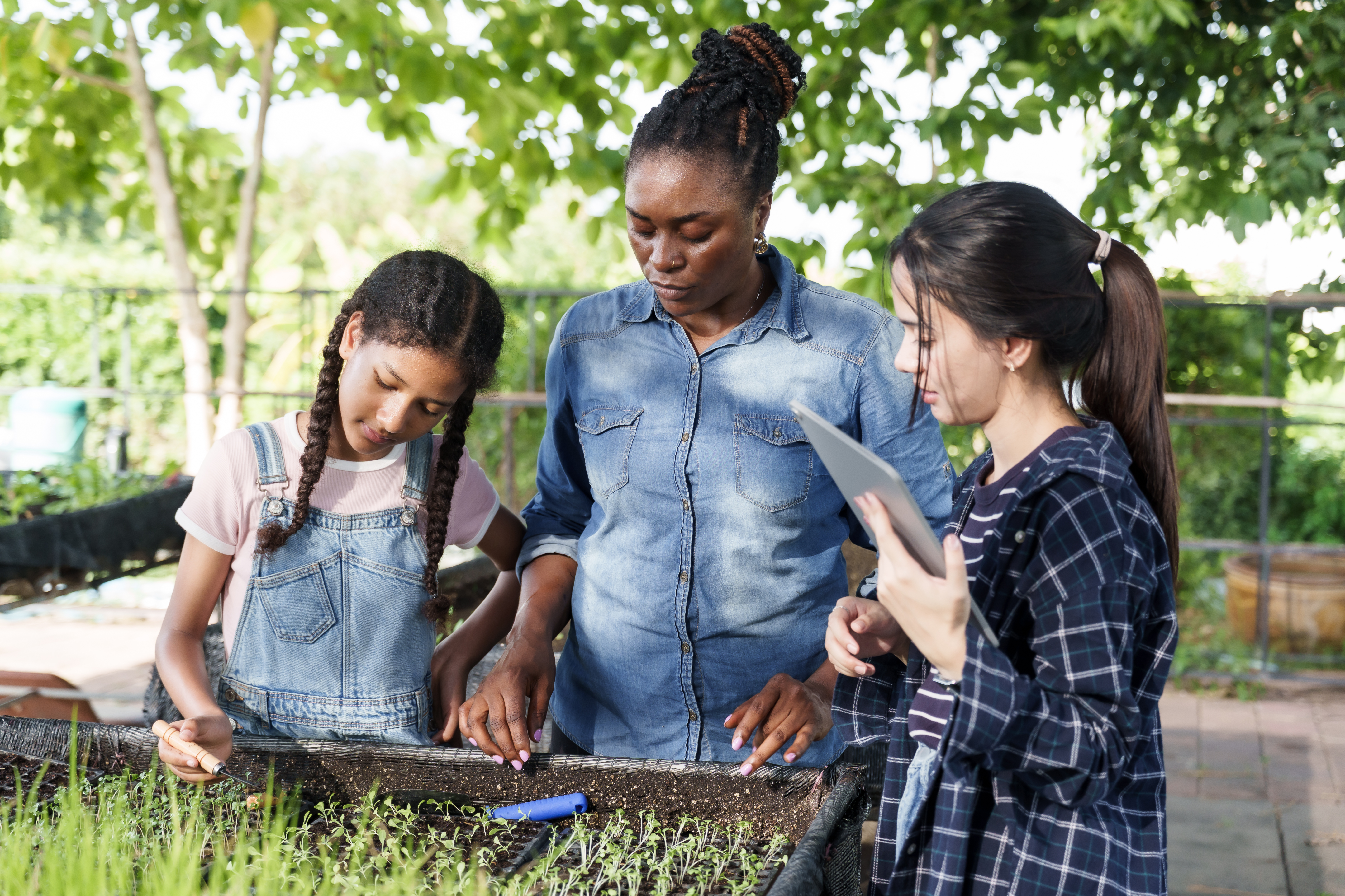 Cultivating Hope: Your Guide to Starting a Community Garden from Scratch Teenager Girls Learning Organic Farming Outdoors W 8330b738c8fdf66dd35f