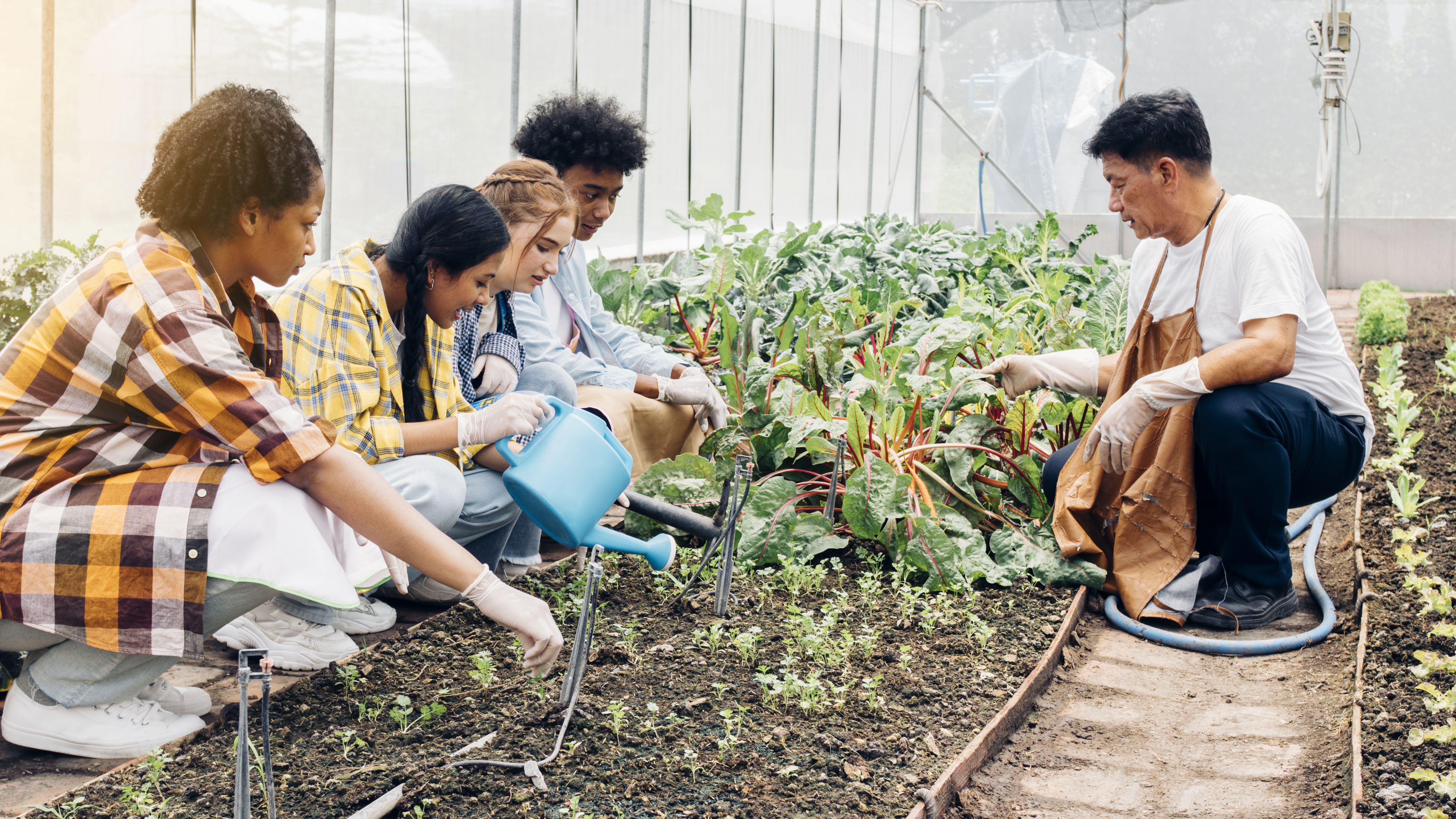 Unlocking the Secrets of Sustainable Gardening: Tips to Empower Your Green Journey Teenagers Learn About Vegetable Gardening D3f49cd48e759a3dfce6