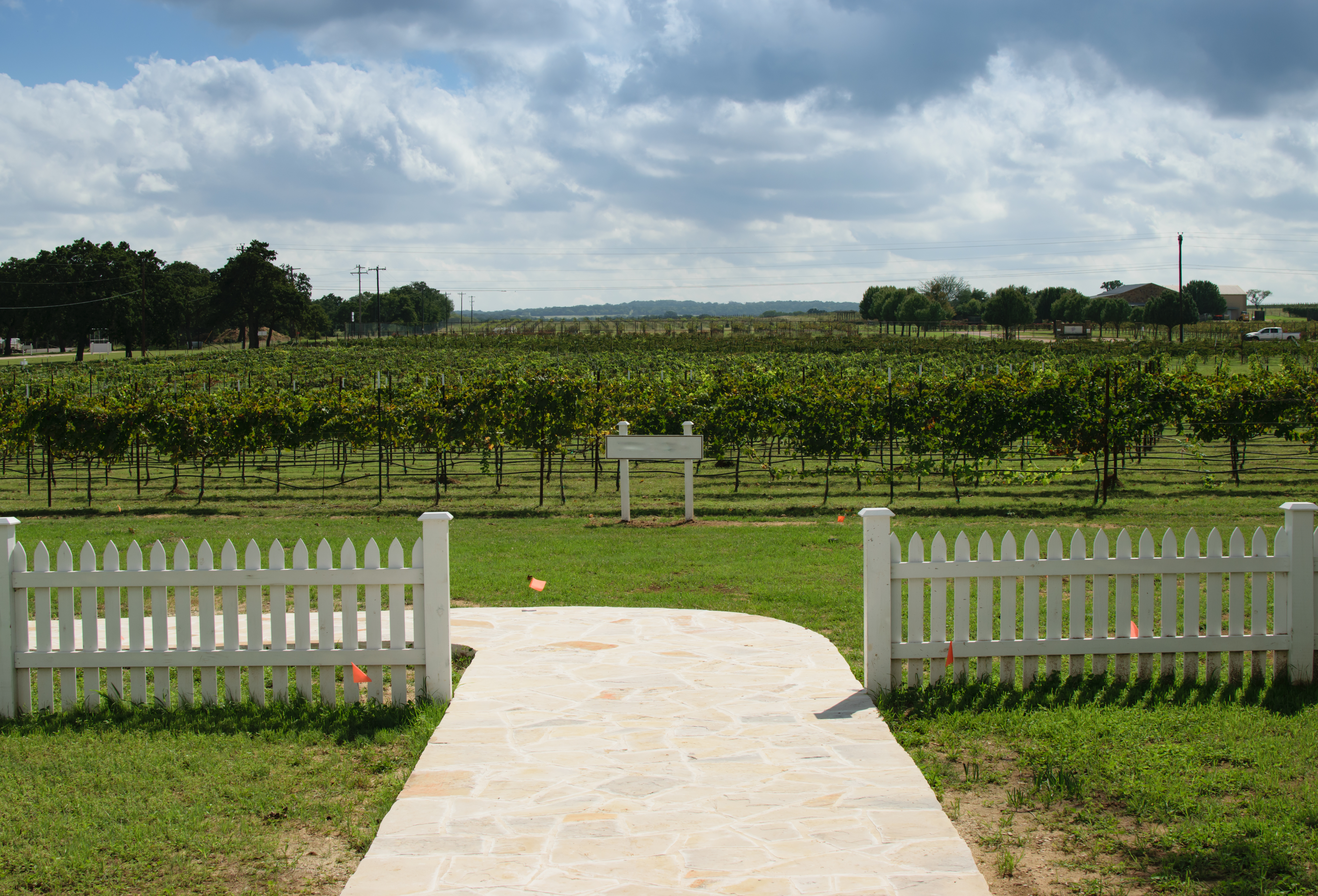 texas wine country vinyard 882fdc2d174ffea9c525